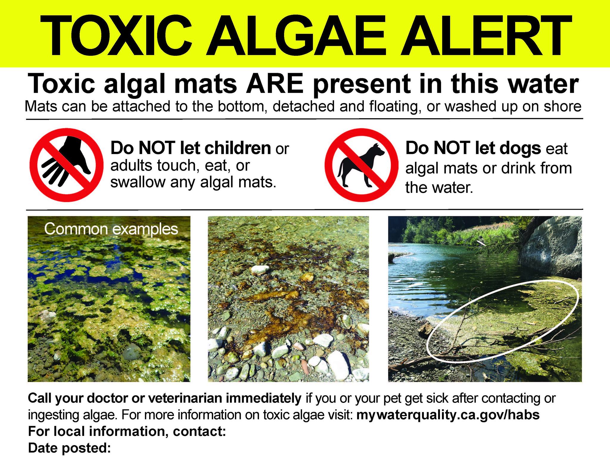 Toxic algae bloom considered in death of California family