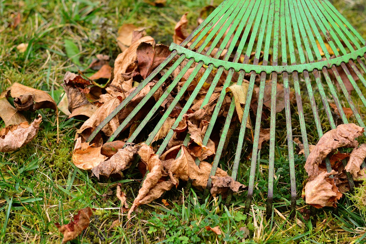 Curbside Composting and Leaf Collection