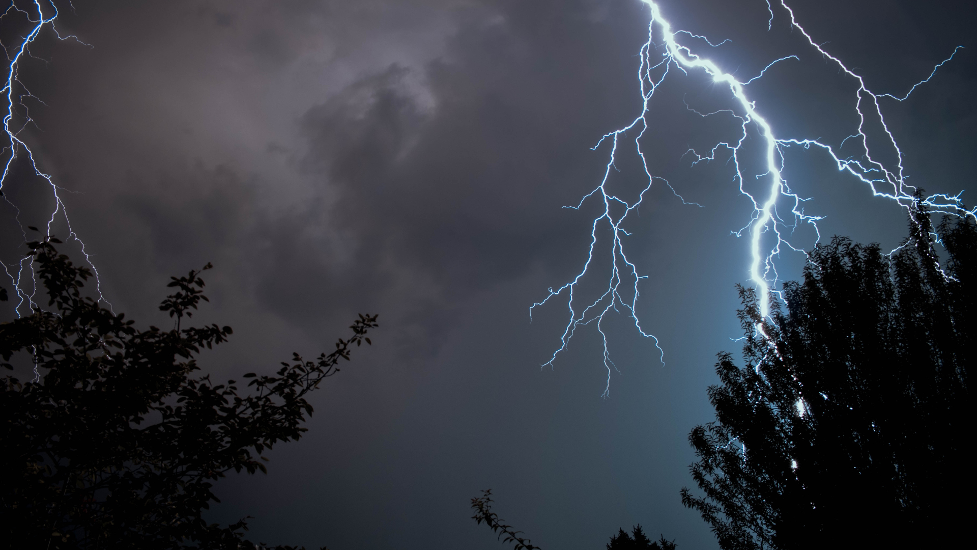 Woman hit by lightning loses synaesthesia – but then it returns
