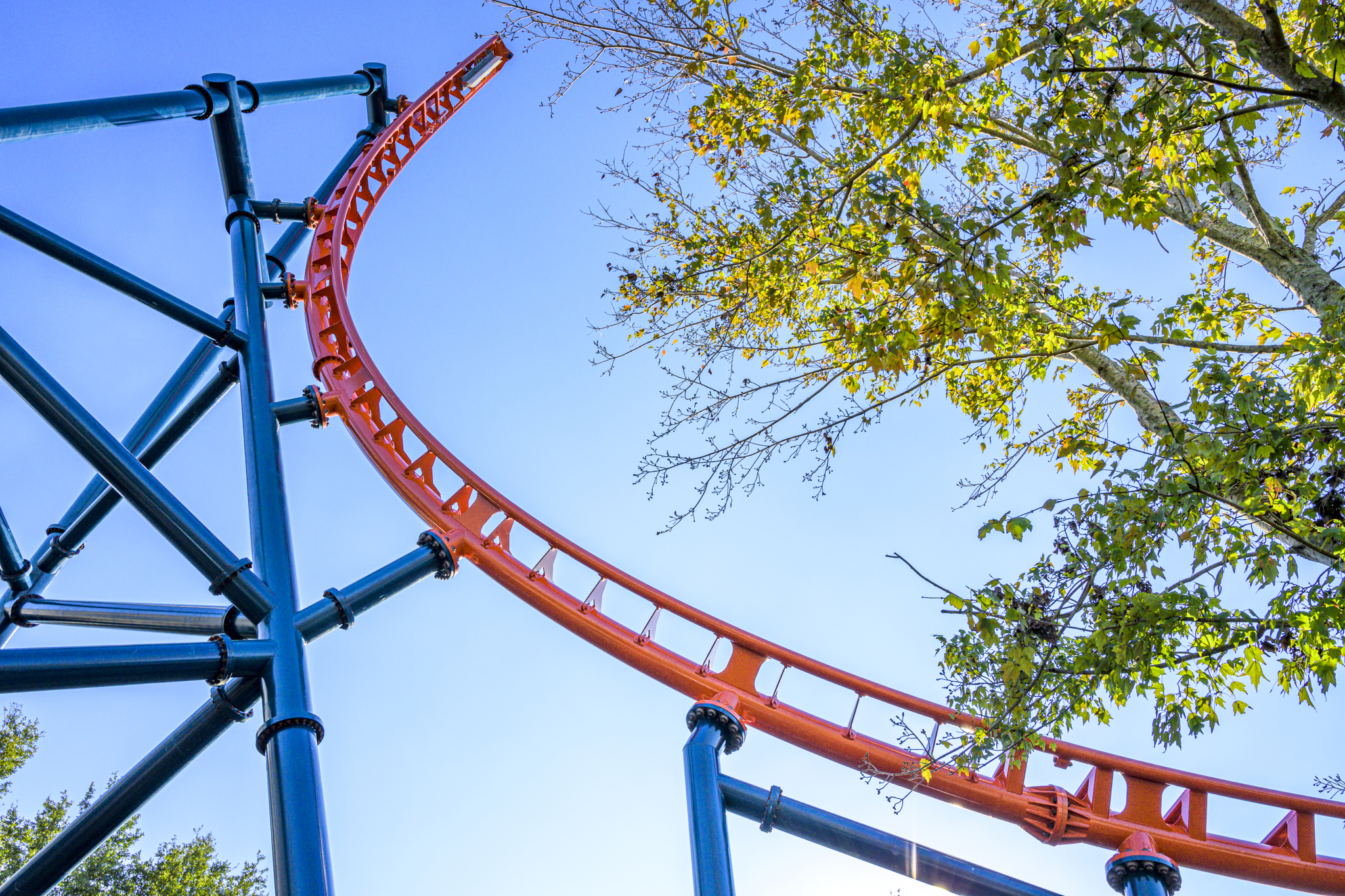 Sneak peek SeaWorld Orlando shows off progress of Ice Breaker