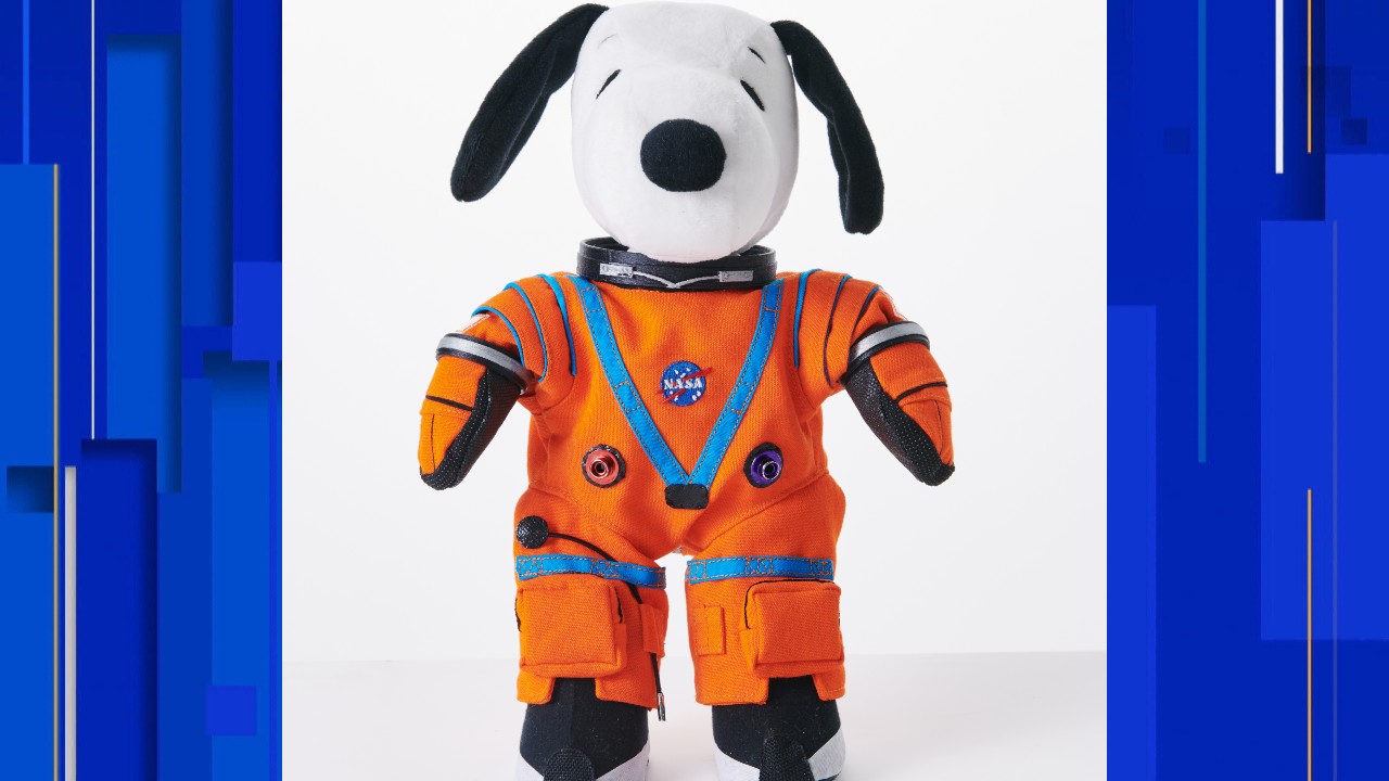 Snoopy Woodstock Space Nasa Moon Peanuts Sleeping Bag Lands' End Kids LARGE 