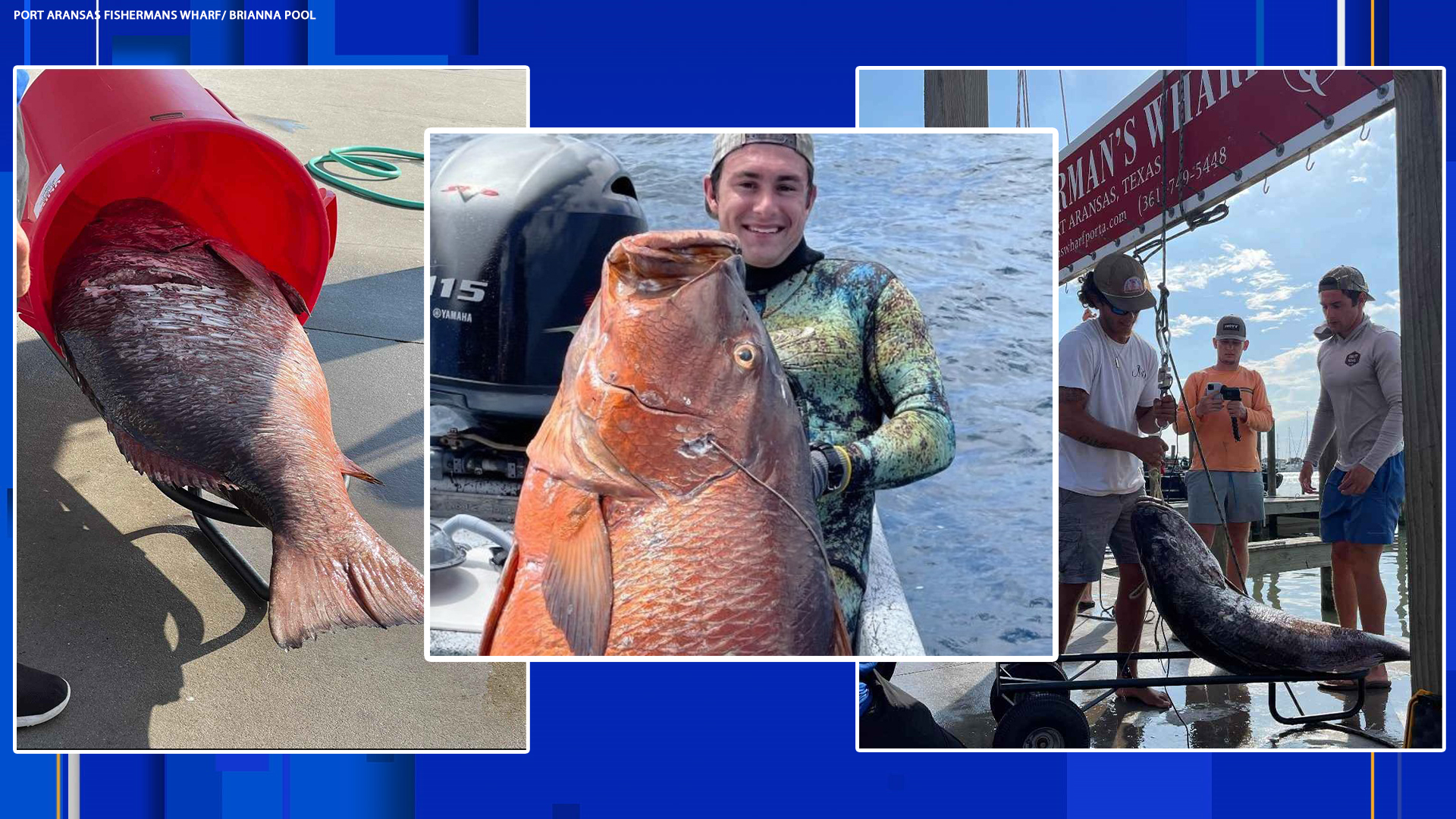 What a catch! Texas angler reels in possible world record-breaking