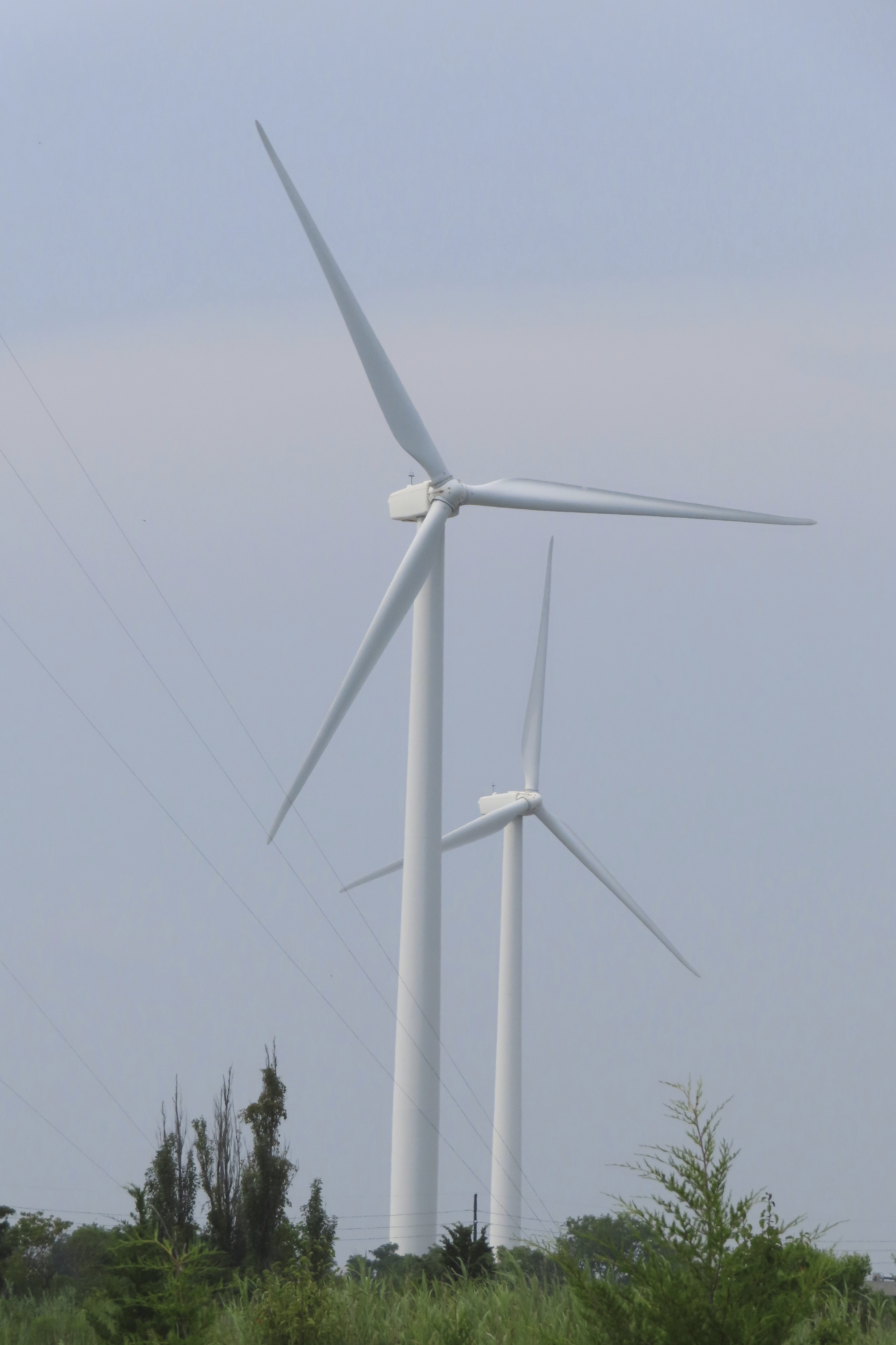 Wind industry deals with blowback from Orsted scrapping 2 wind power  projects in New Jersey