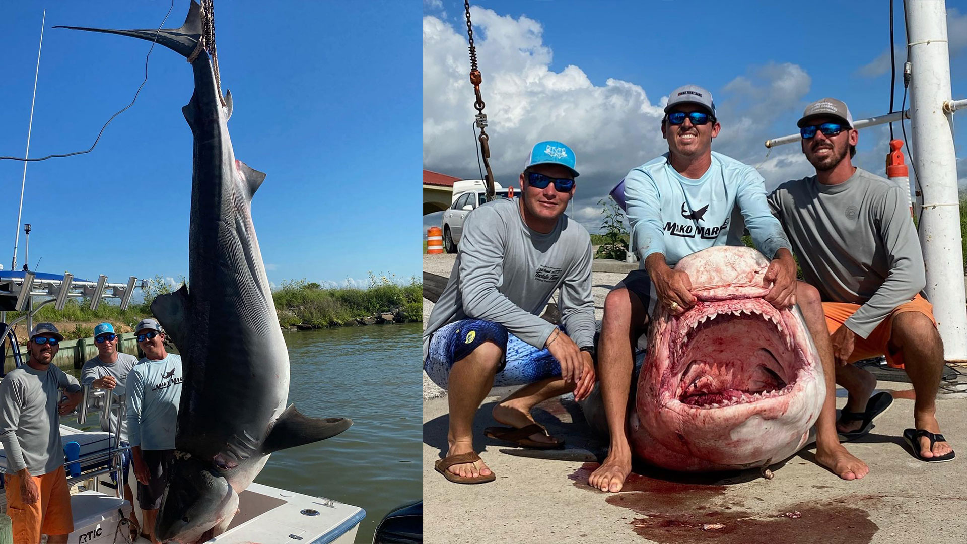Fisherman reels in 12-foot, 6-inch tiger shark off Texas coast