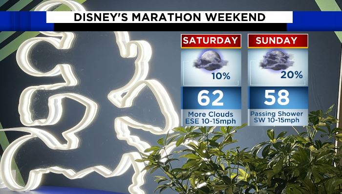 Will weekend weather wreak havoc on Disney marathon runners? Here's what to  know