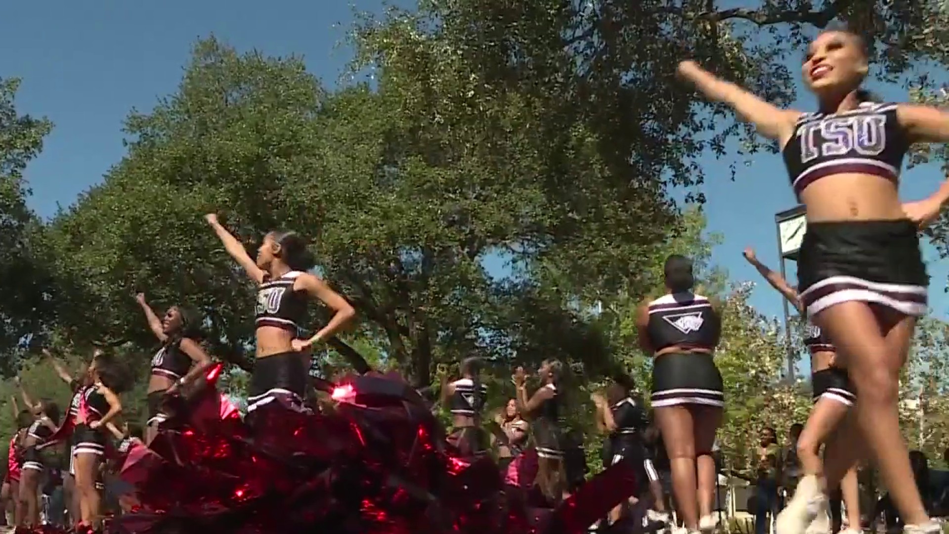 The Texas Southern Tigers - ScoreStream