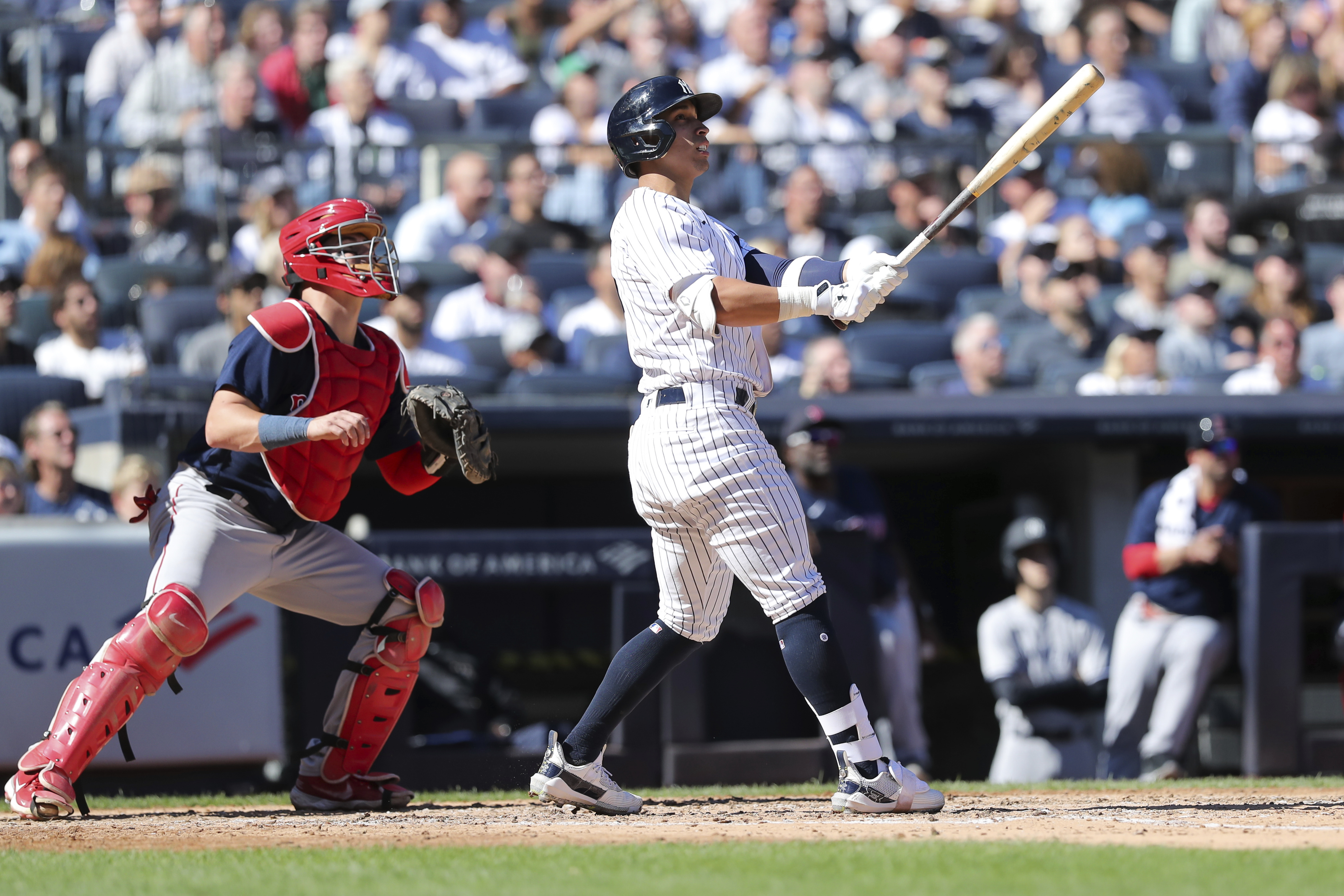 Oswaldo Cabrera Reacts Amazingly After First Playoff Homer