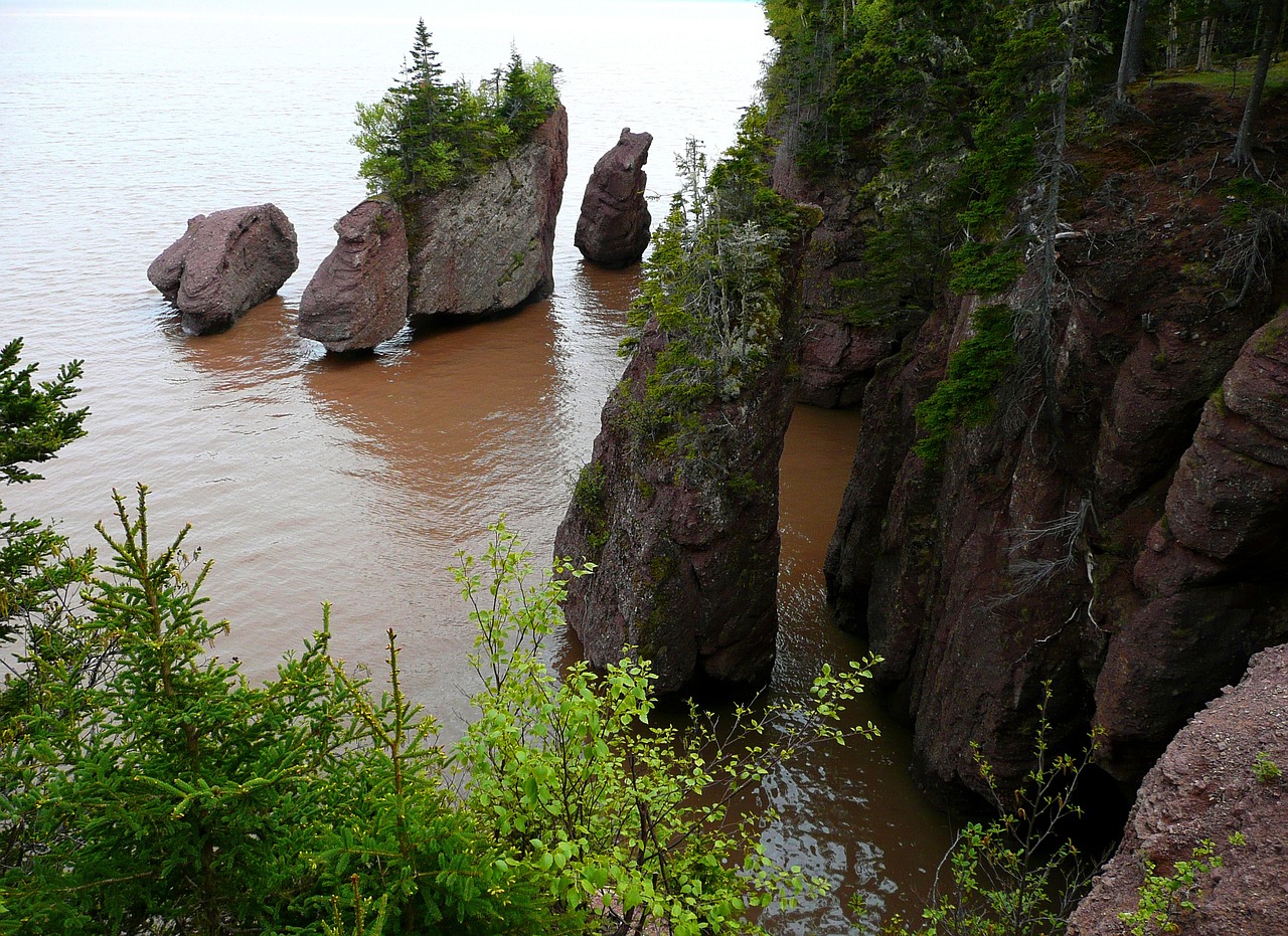 File:Fundy High & Low tide.jpg - Wikimedia Commons