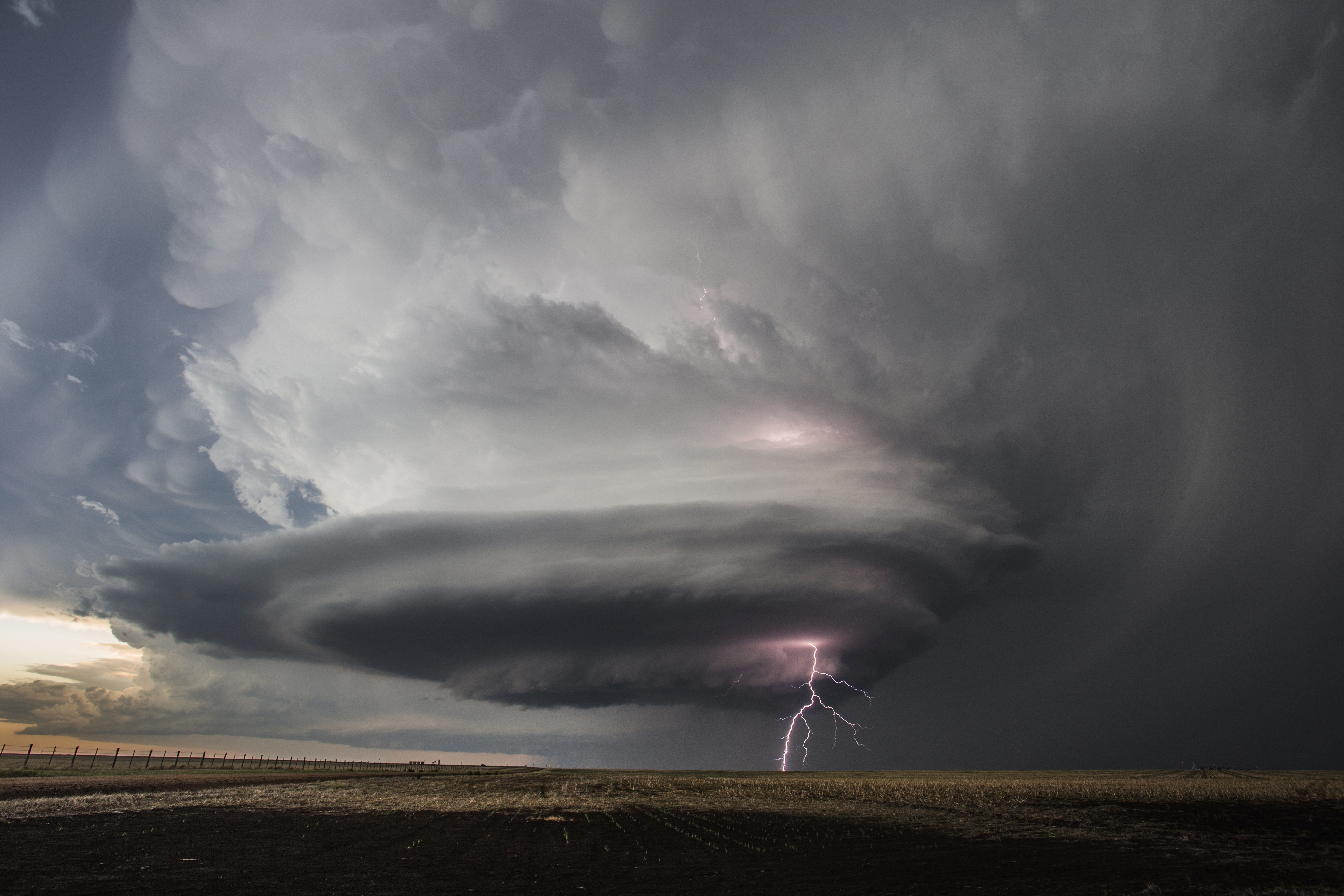 How To Keep Your Pets Safe During A Tornado Or Storm