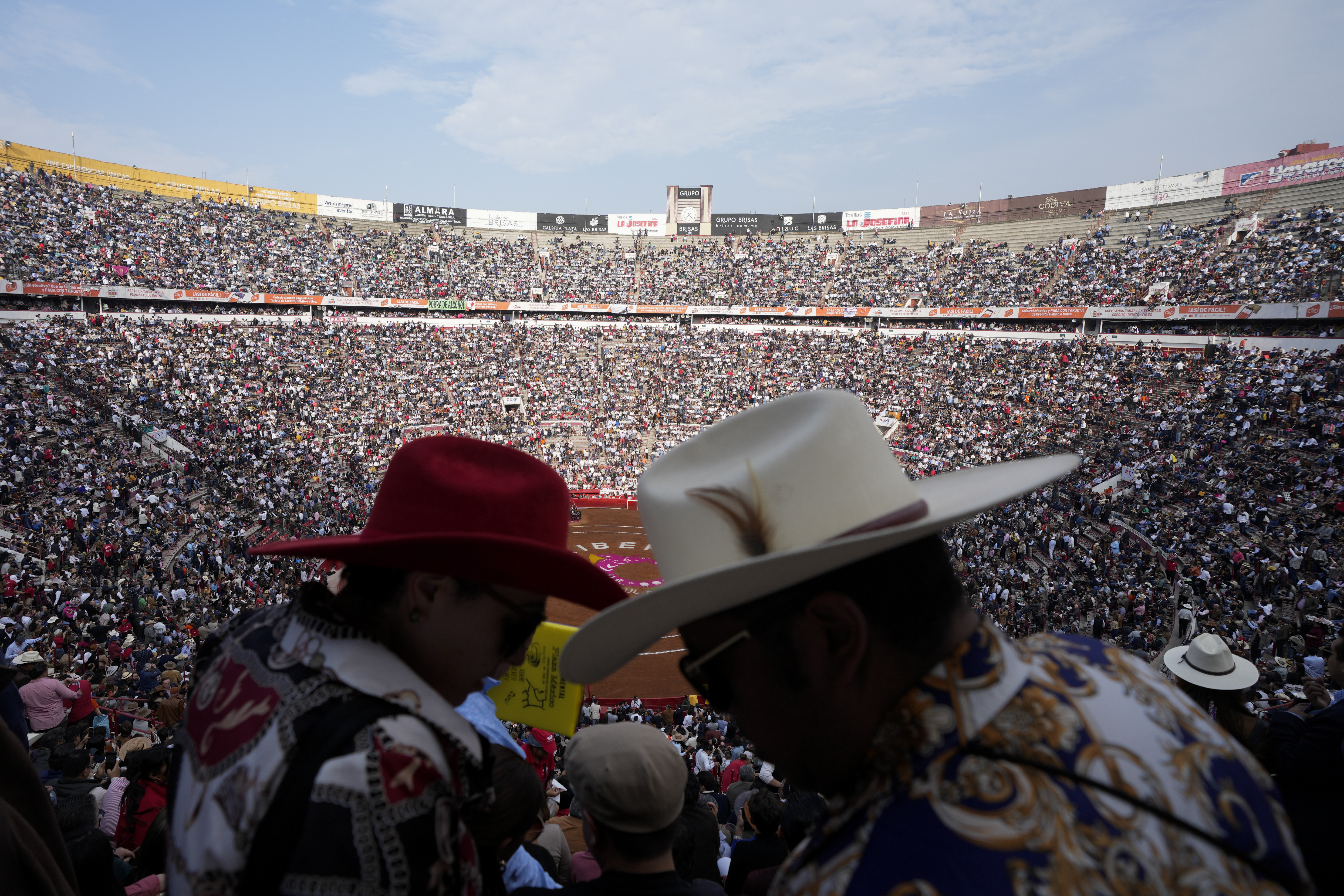 EL TORO LOOKS TO THE RODEO - PubTIC