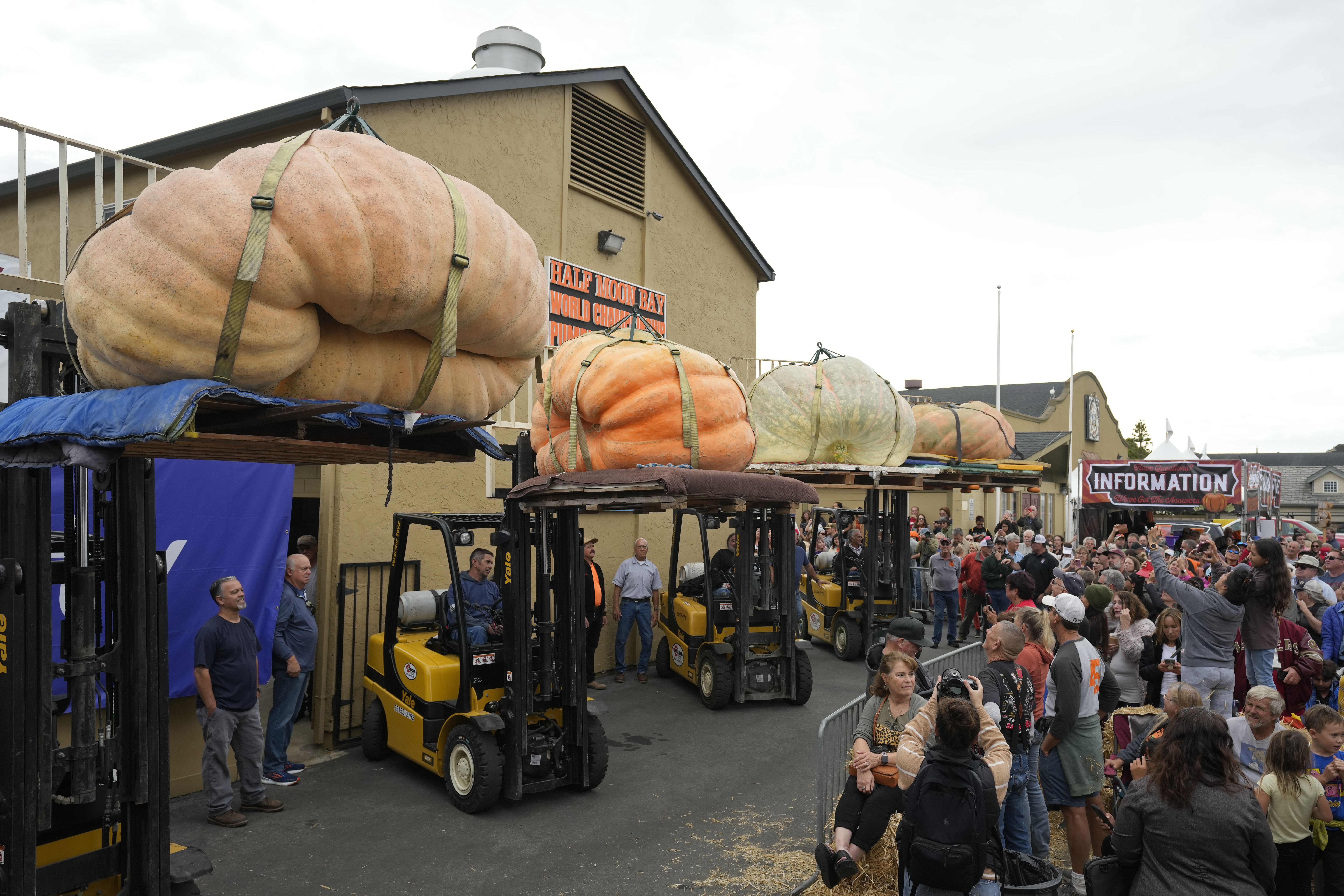 Pumpkin weighing 2,749 pounds wins California contest, sets world