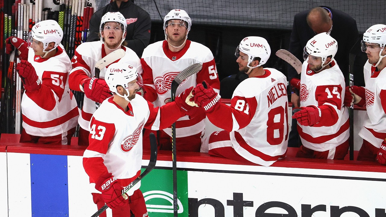 Detroit Red Wings' Offseason Full of Roster Changes