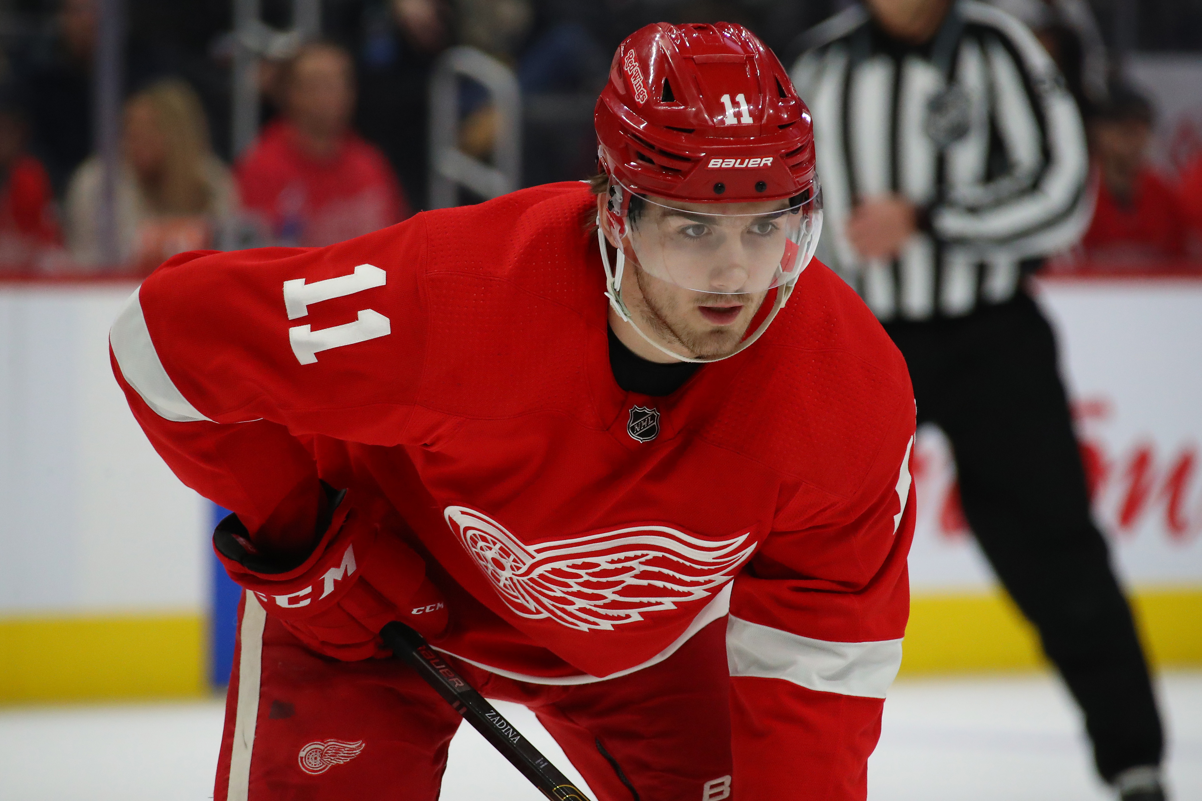 Detroit Red Wings Forward Suffers Upper-Body Injury