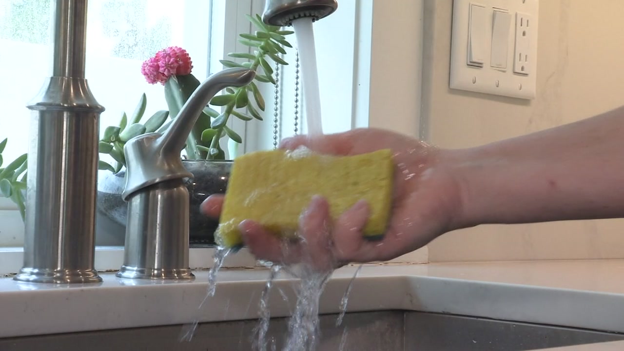 How Worried Should I Be About Bacteria on Kitchen Sponges?