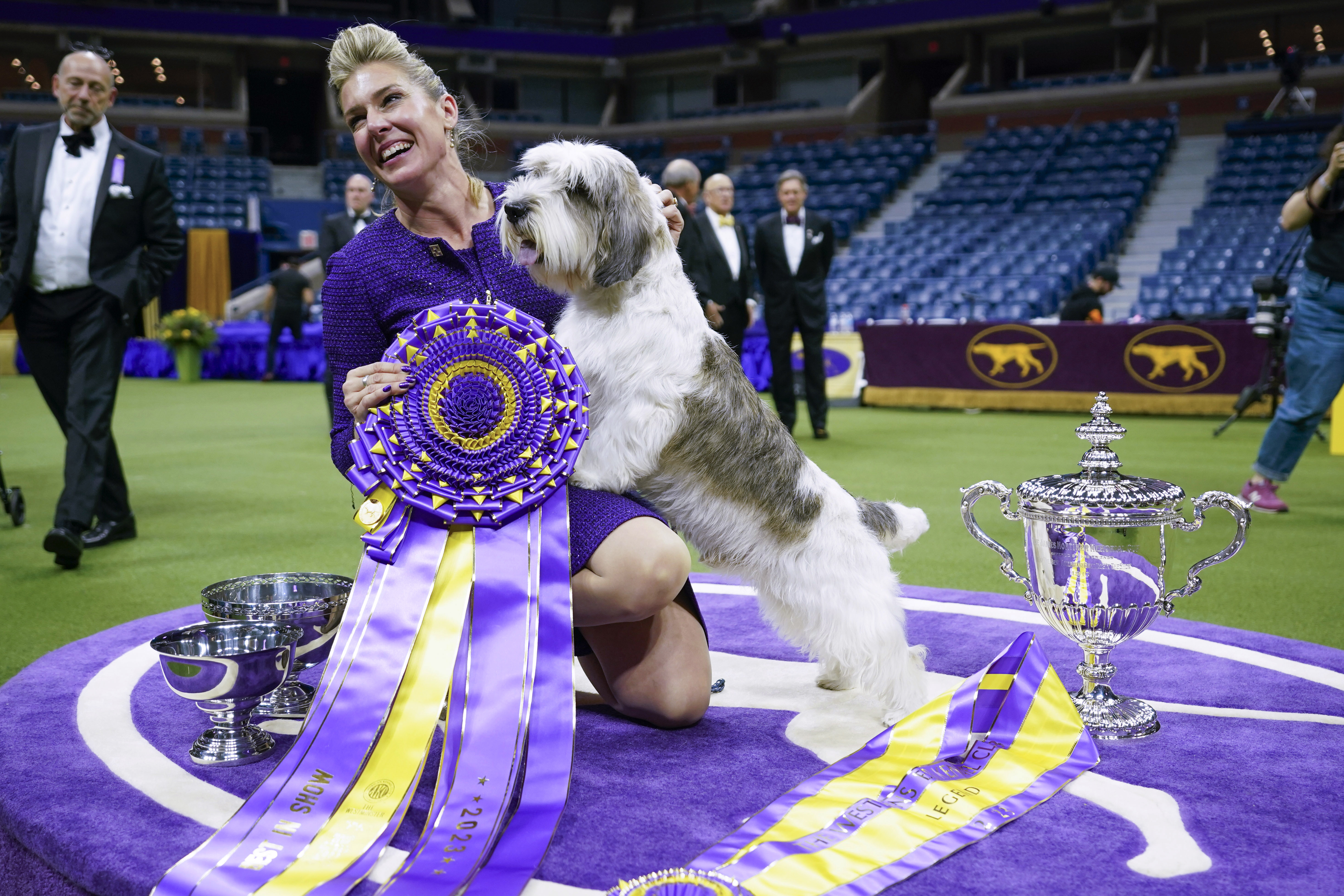 Westminster dog best sale show great dane