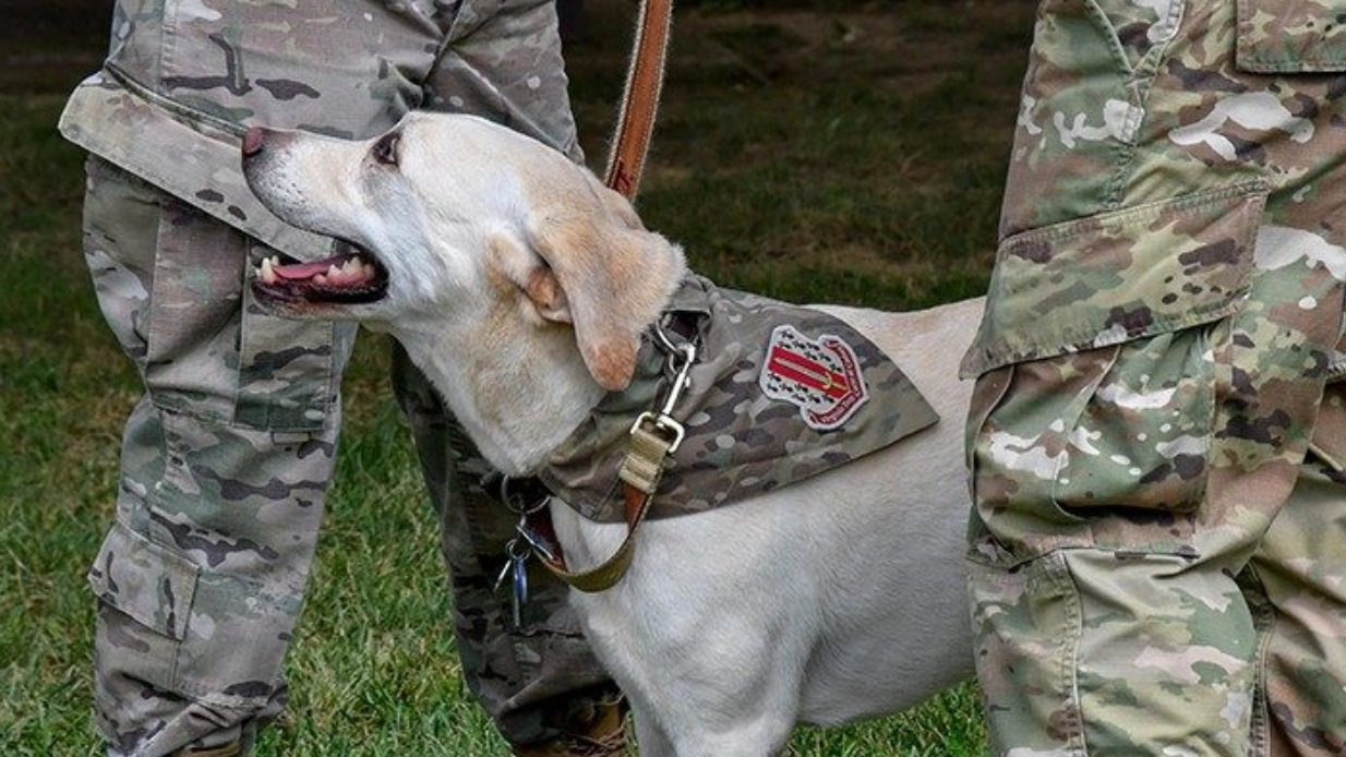 Virginia tech digital camo uniforms