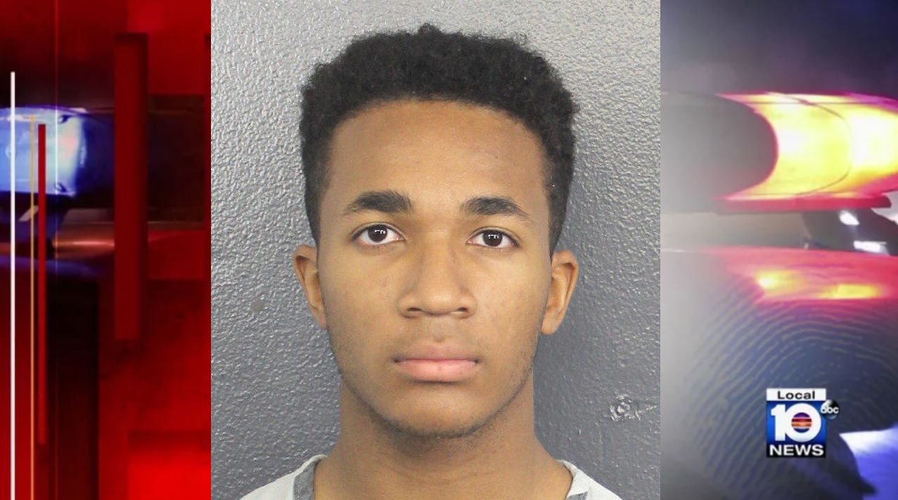 Sex Rep Video On Hollywood - Pembroke Pines teen faces 20 counts of child porn charges