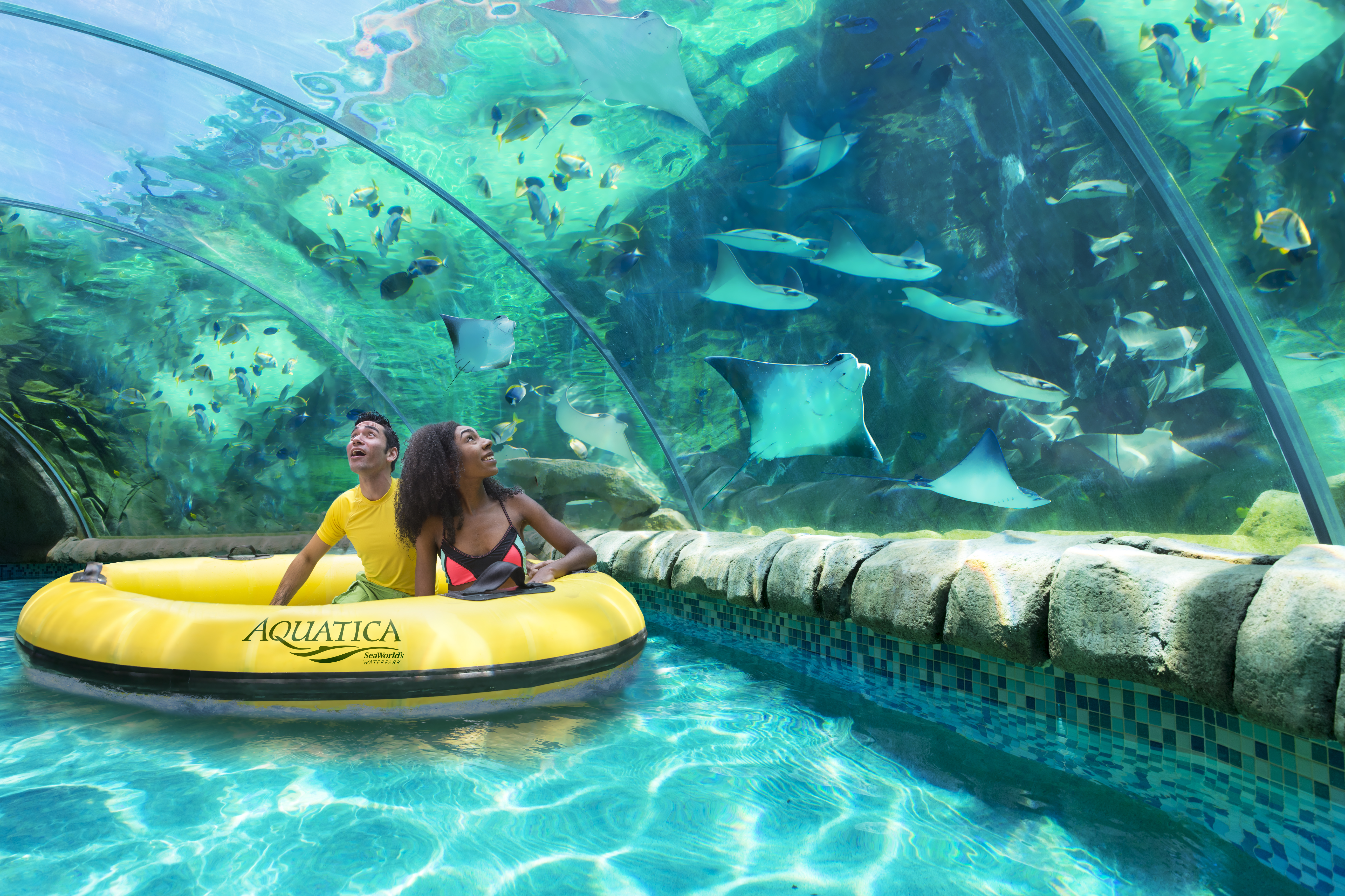 SeaWorld San Diego Theme Park - Aquarium, Zoo & Theme Park in