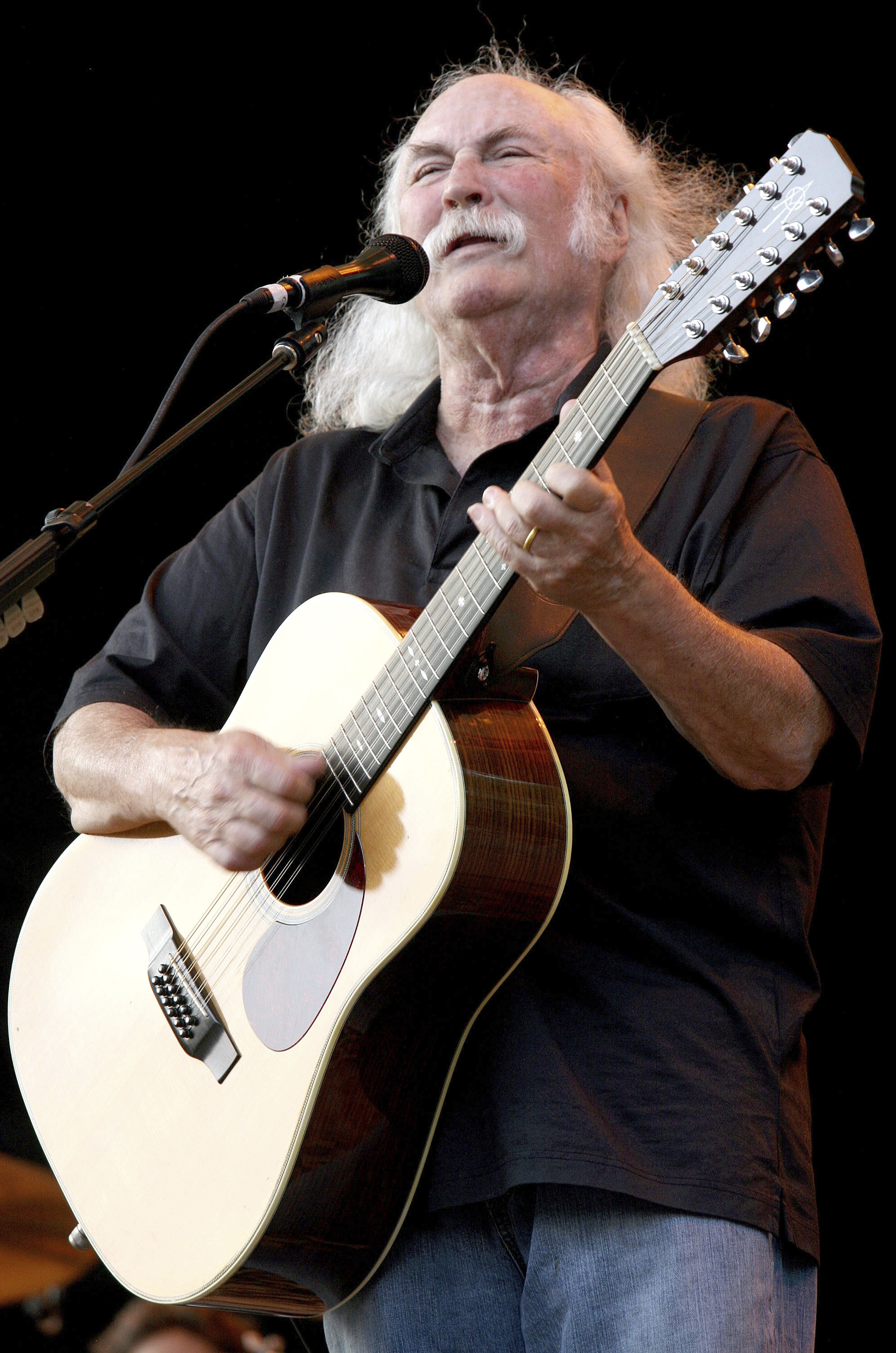 Jackson Browne Crosby CPR イベントシャツ Jackson Browne Crosby & CPR FESTIVAL シャツ（2025年最新