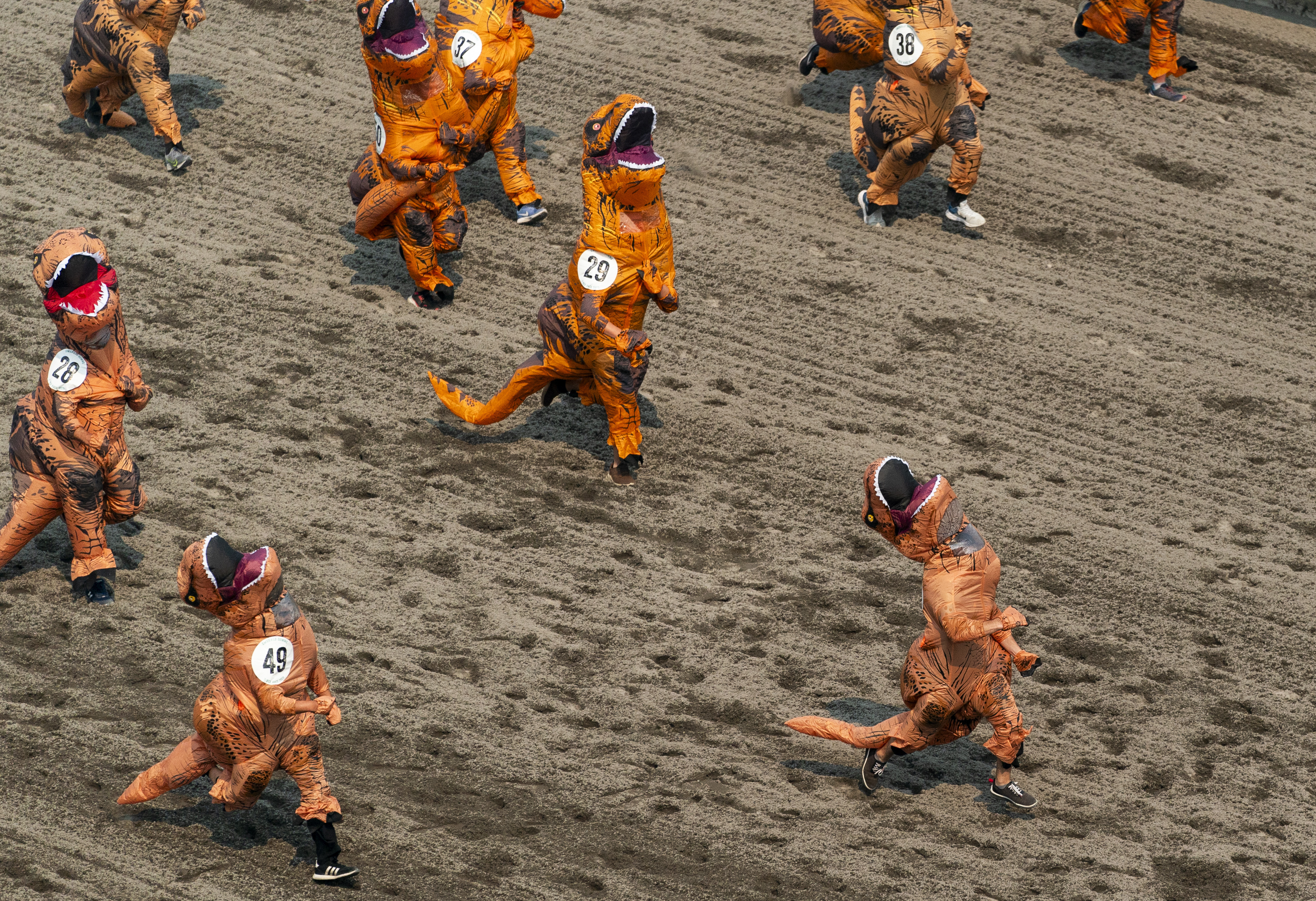 Washington runners take to the race track for a hilarious dinosaur race