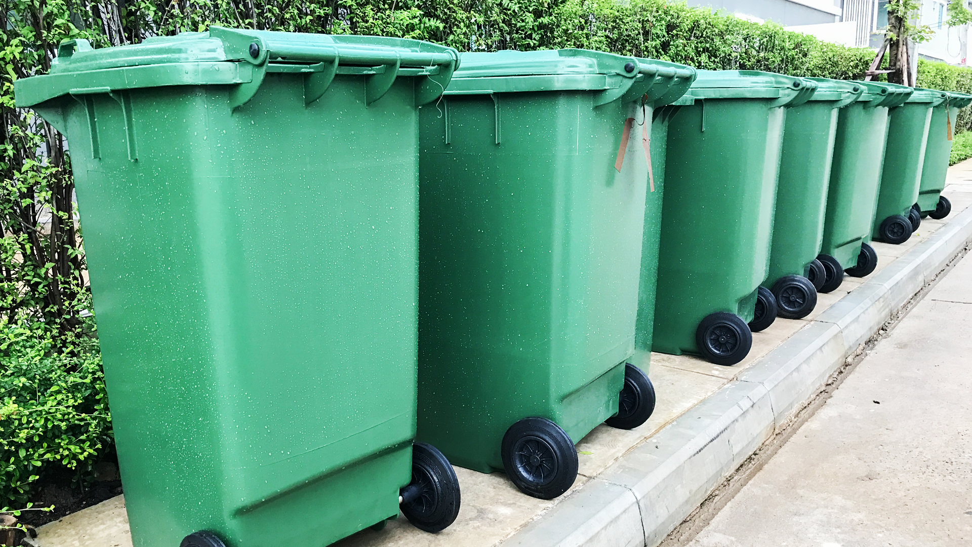 Curbside Recycling: What Can and Can't Be Recycled
