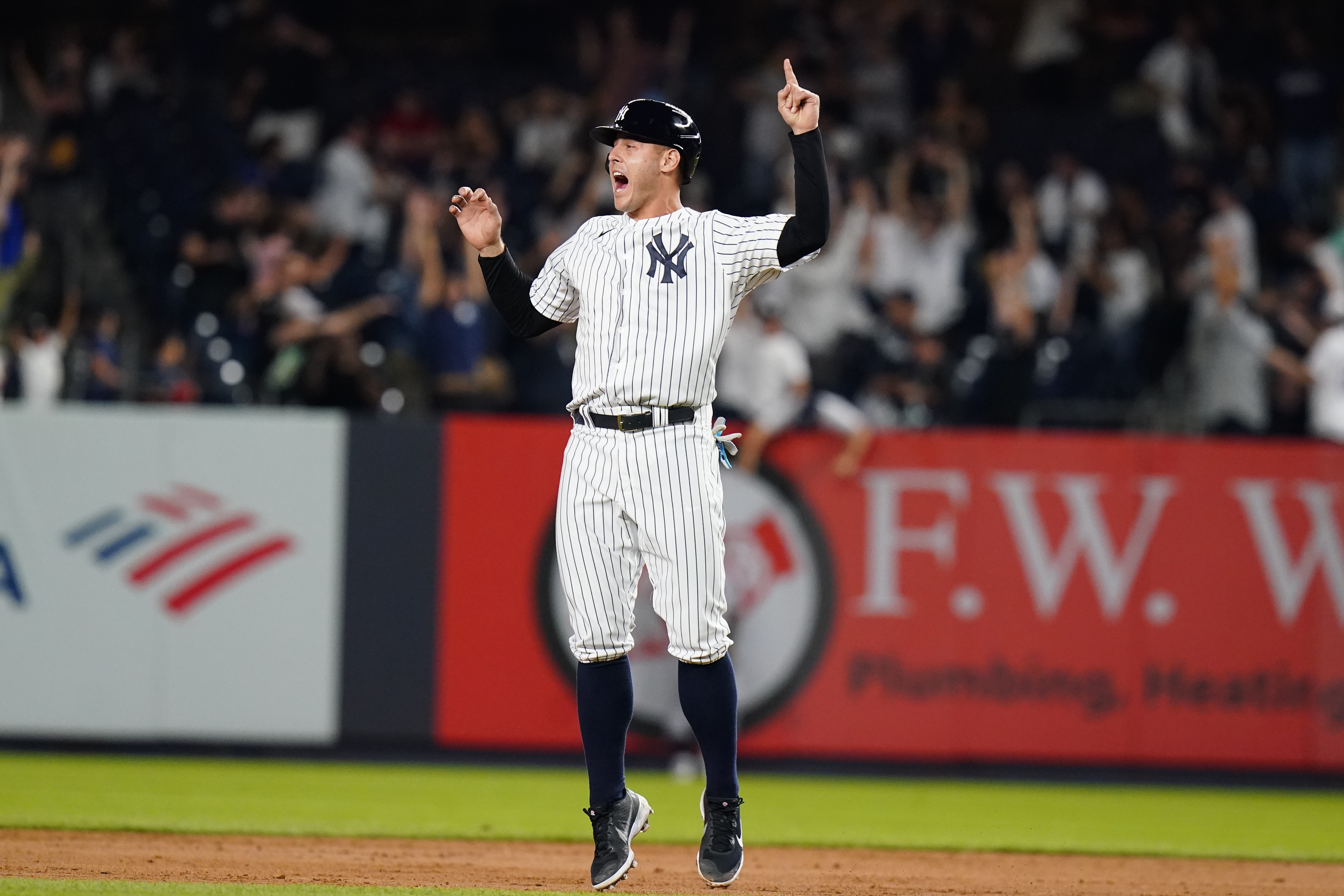 Anthony Rizzo walk-off gives New York Yankees win over Rays