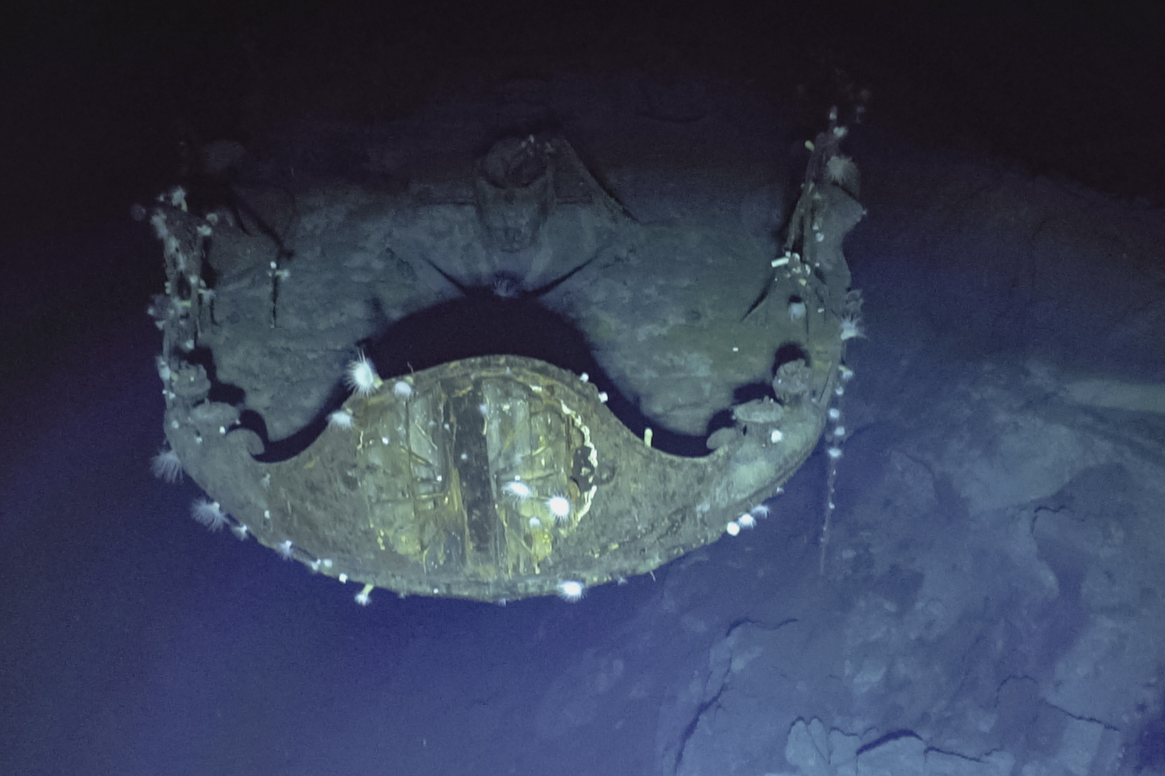 Video provides first clear views of WWII aircraft carriers lost in