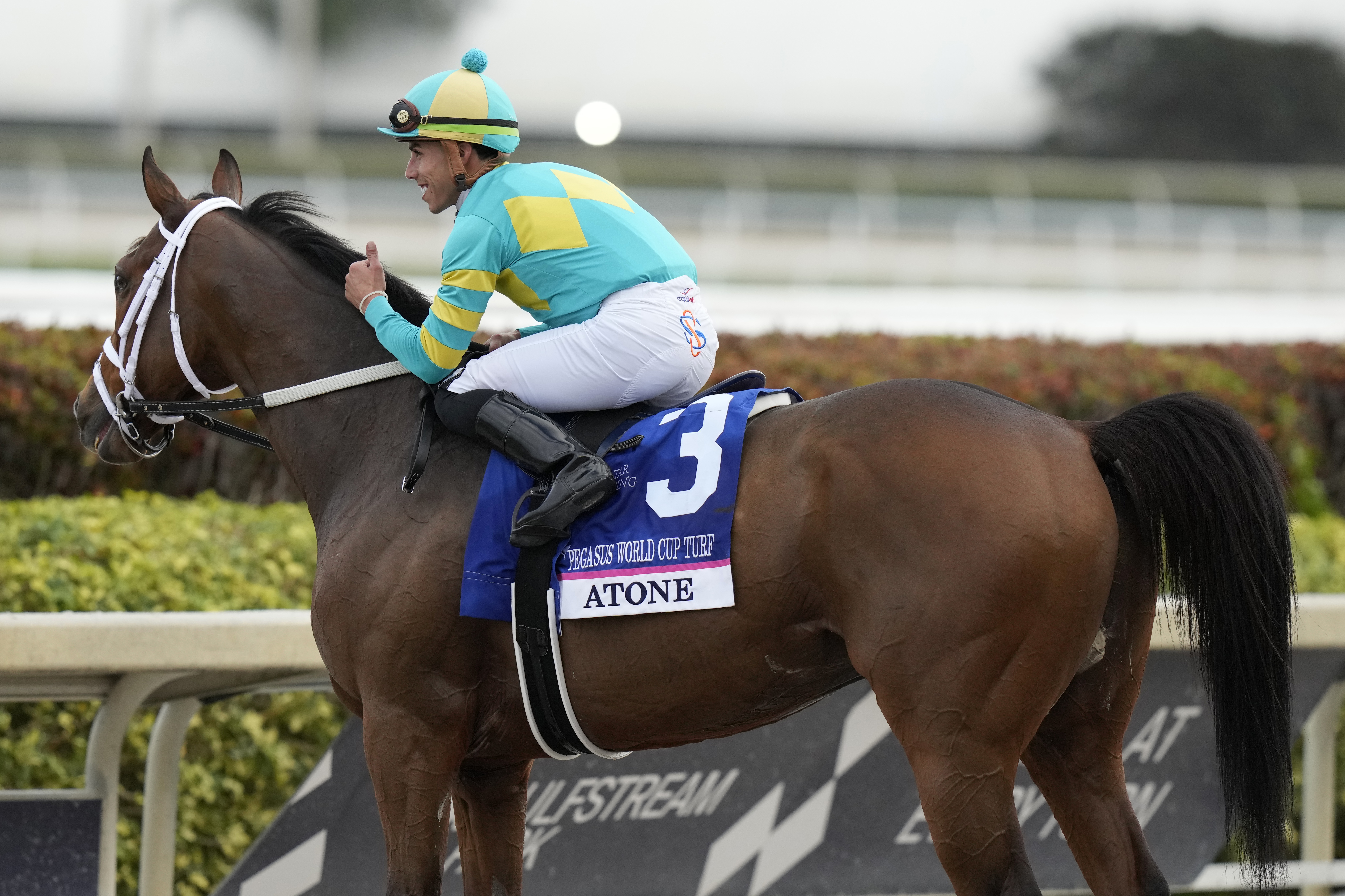 Marlins Man' owns horse running at Gulfstream Park