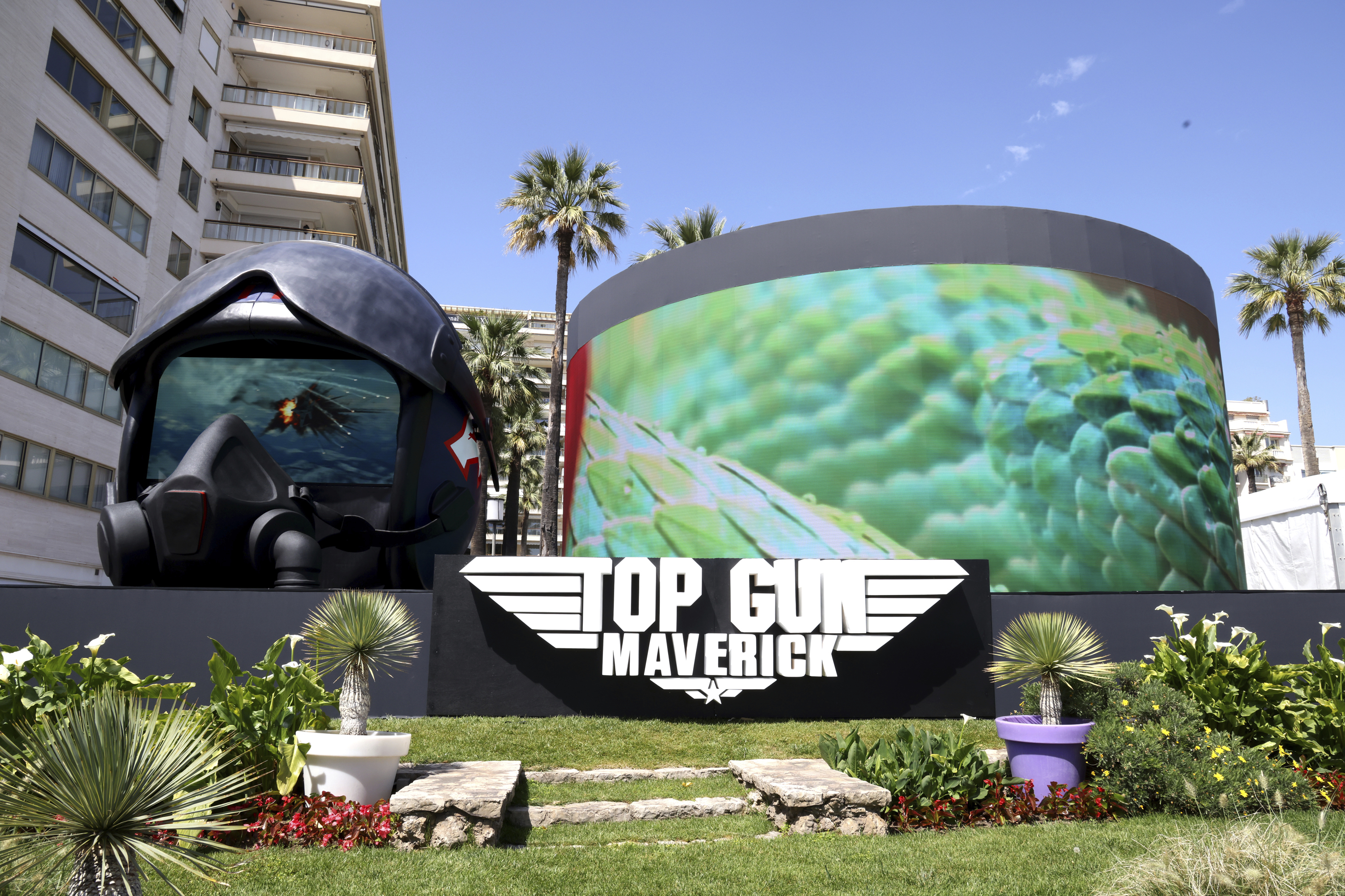 Top Gun: Maverick' Wins Tom Cruise 1st $100 Million Opening