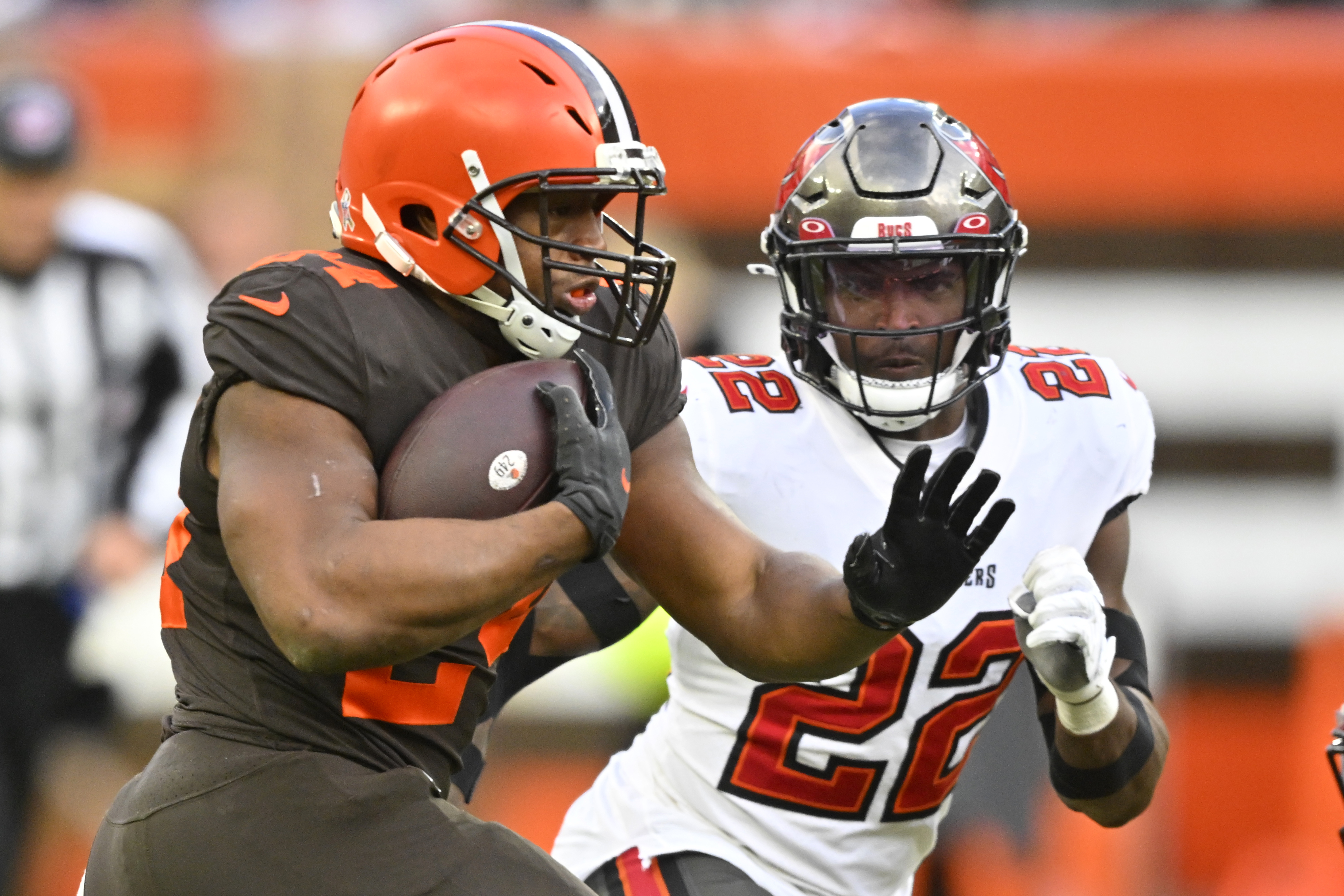 Skunk invades Browns stadium