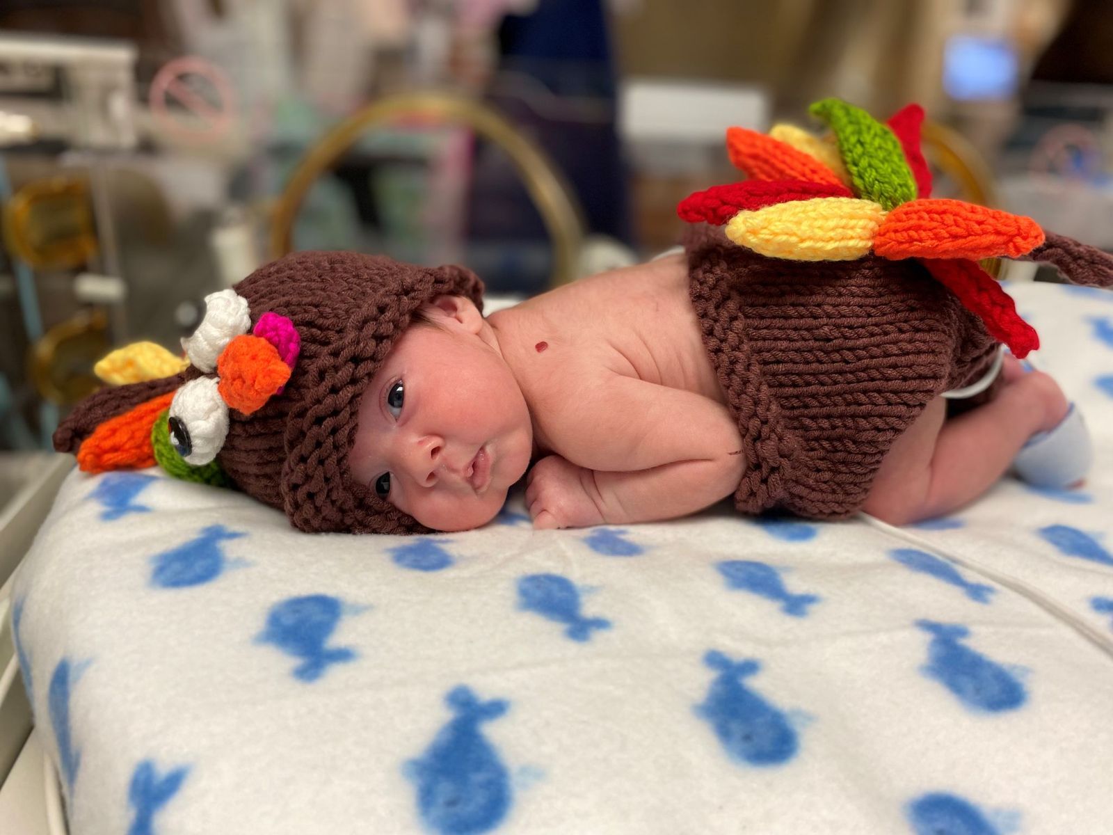 12+ Nicu Thanksgiving Crafts - LawranceYogan