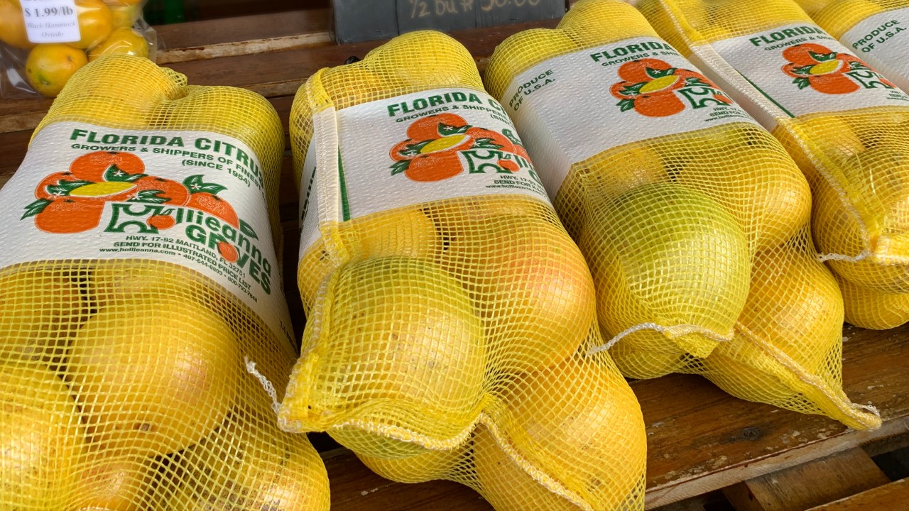 Three Grove Stand bags of juicy-fresh oranges or grapefruit.