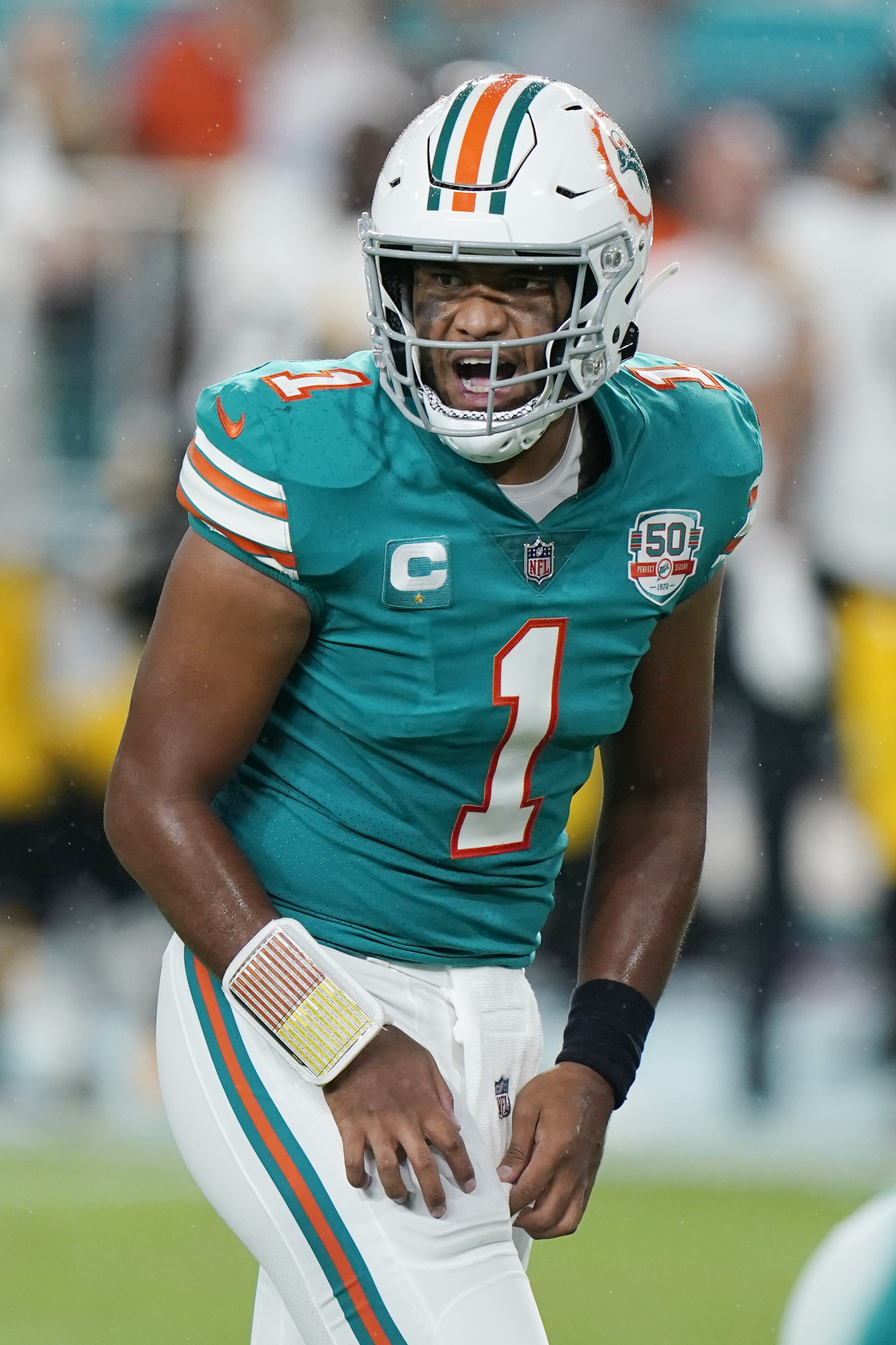 Miami Dolphins safety Brandon Jones (29) eyes the quarterback as he drops  back in coverage during an NFL football game against the Buffalo Bills,  Sunday, Sept. 25, 2022 in Miami Gardens, Fla.