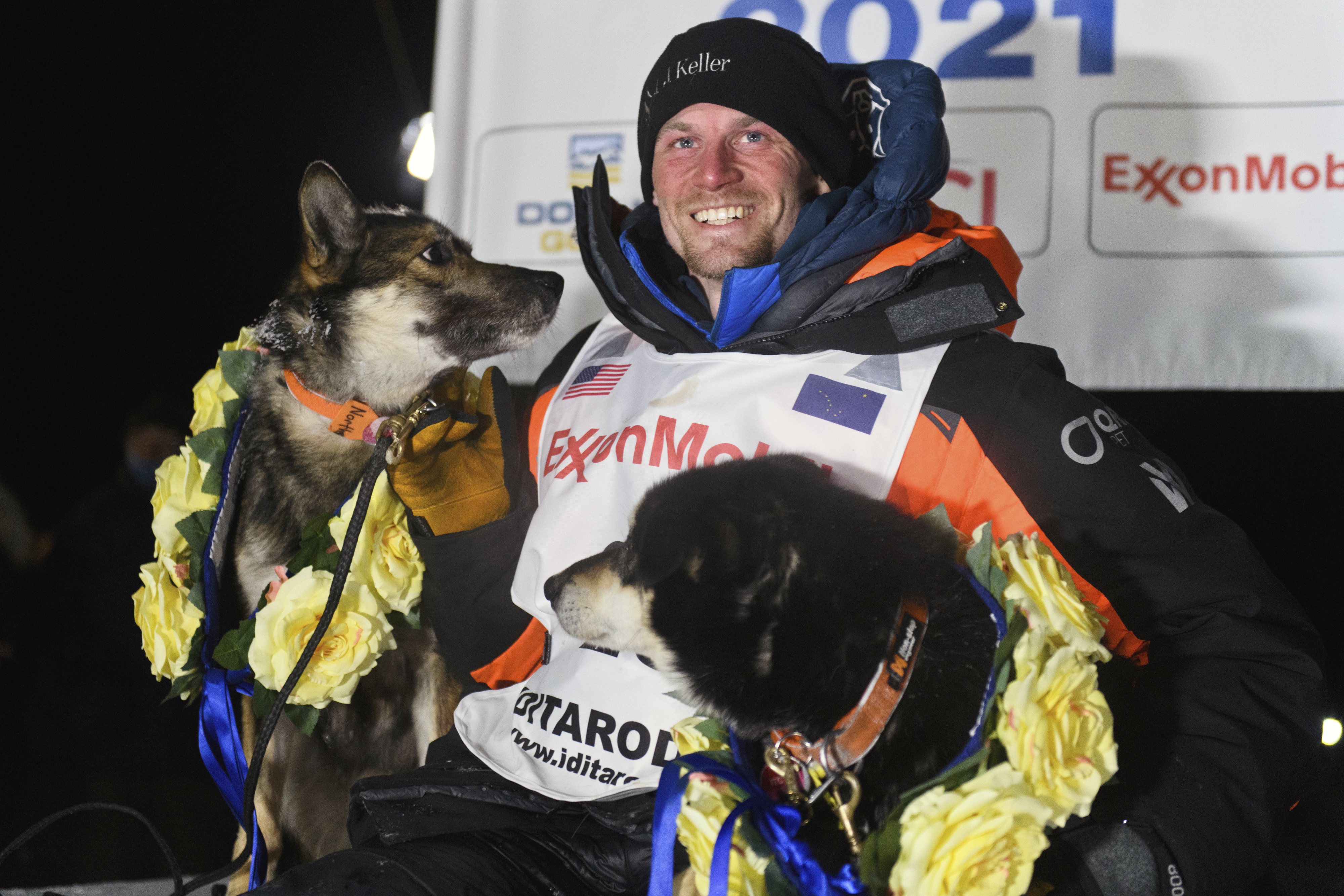 how many dogs died in the iditarod race 2018