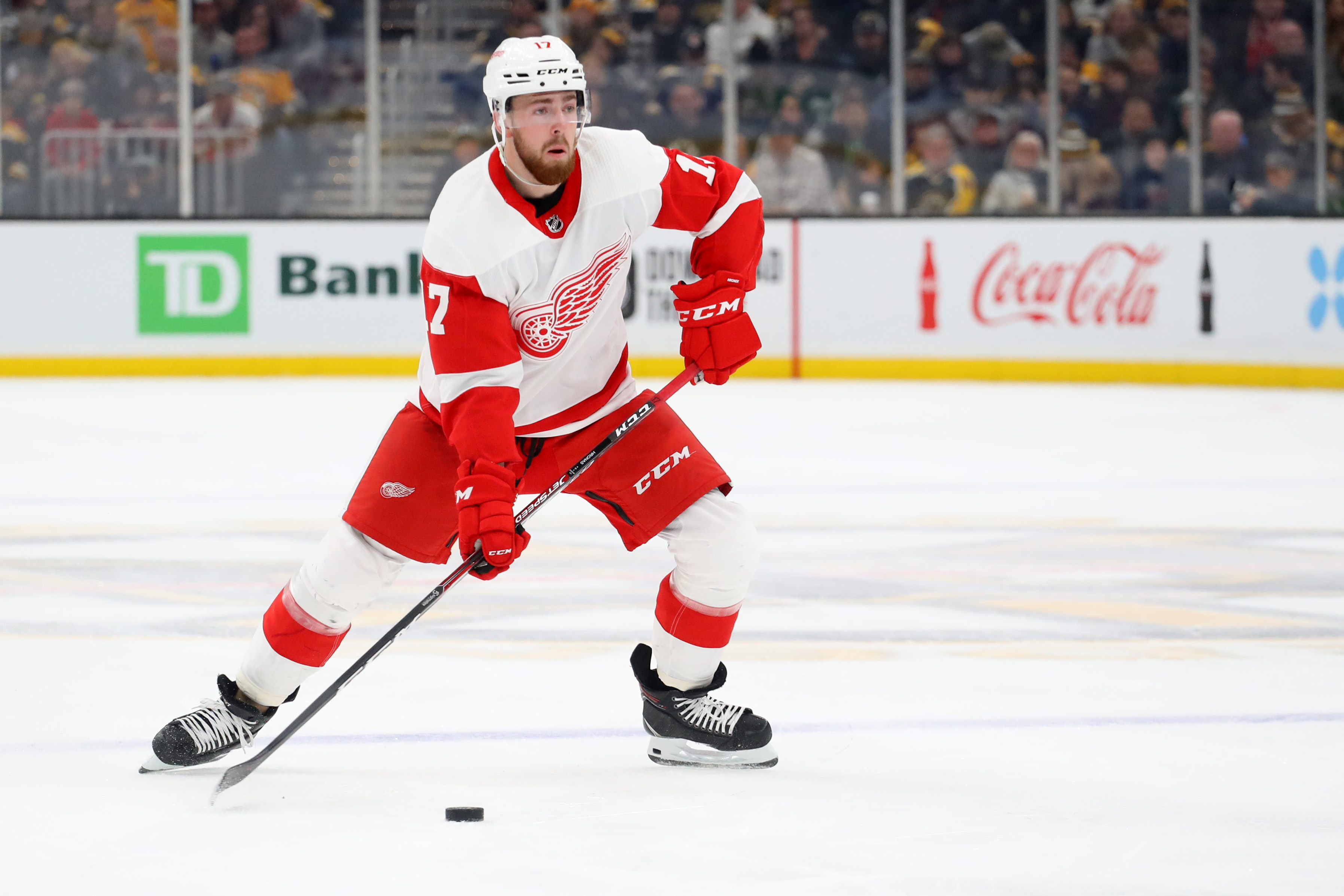 NHL free agency preview: Detroit Red Wings in market for goal-scoring  forward
