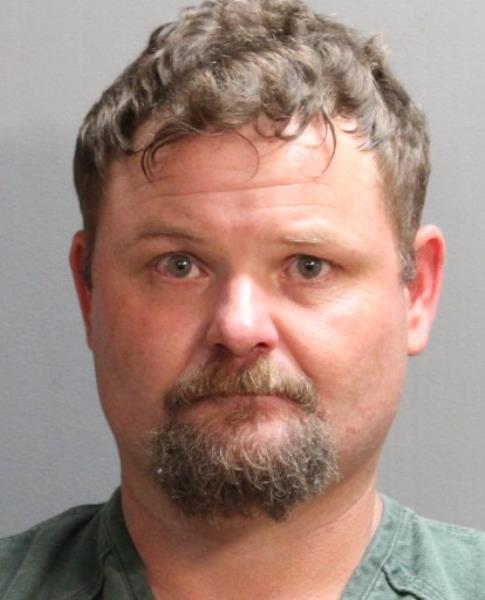 485px x 600px - Jacksonville man faces 13 counts of child porn possession, animal sex abuse  charges