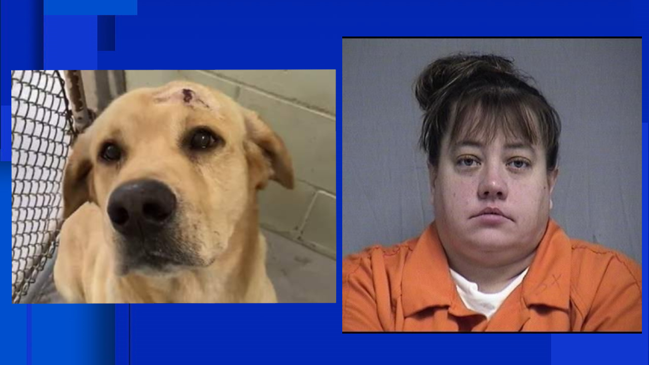 Nassau County woman accused of shooting dog with crossbow
