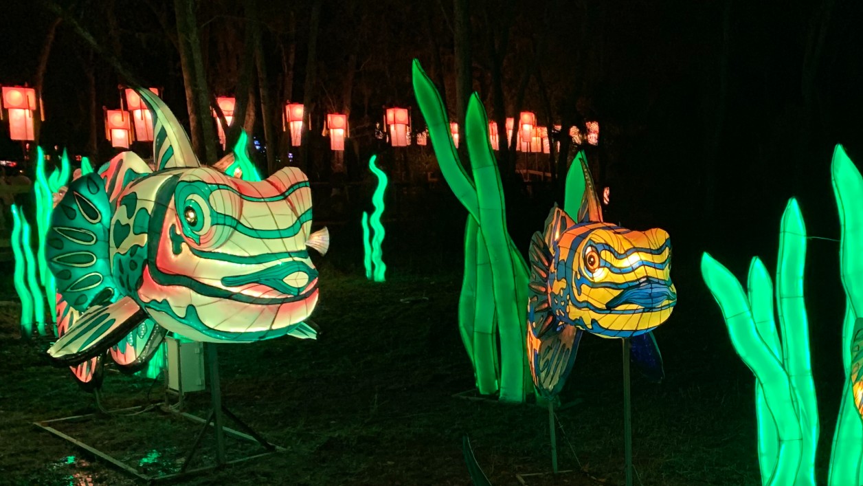 Asian Lantern Festival returns to Central Florida Zoo