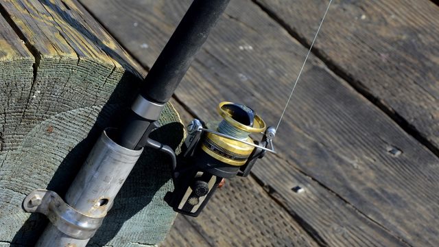 Here's how to find out if that fish you caught broke the state