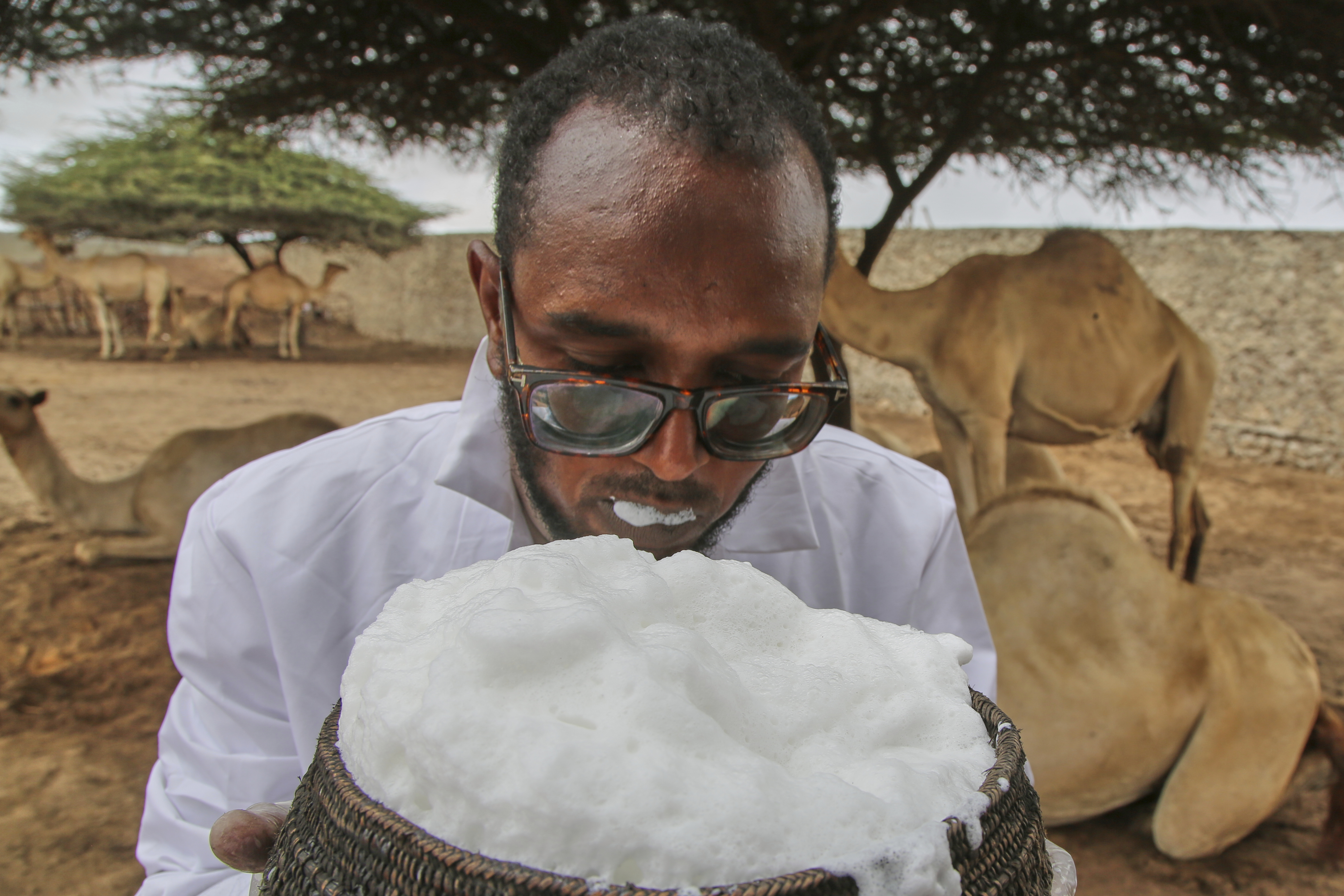 Somalia's camel milk revolution is improving nutrition and