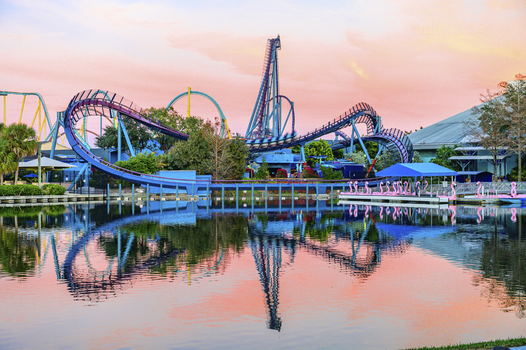 SeaWorld's new shark-themed coaster opening in June