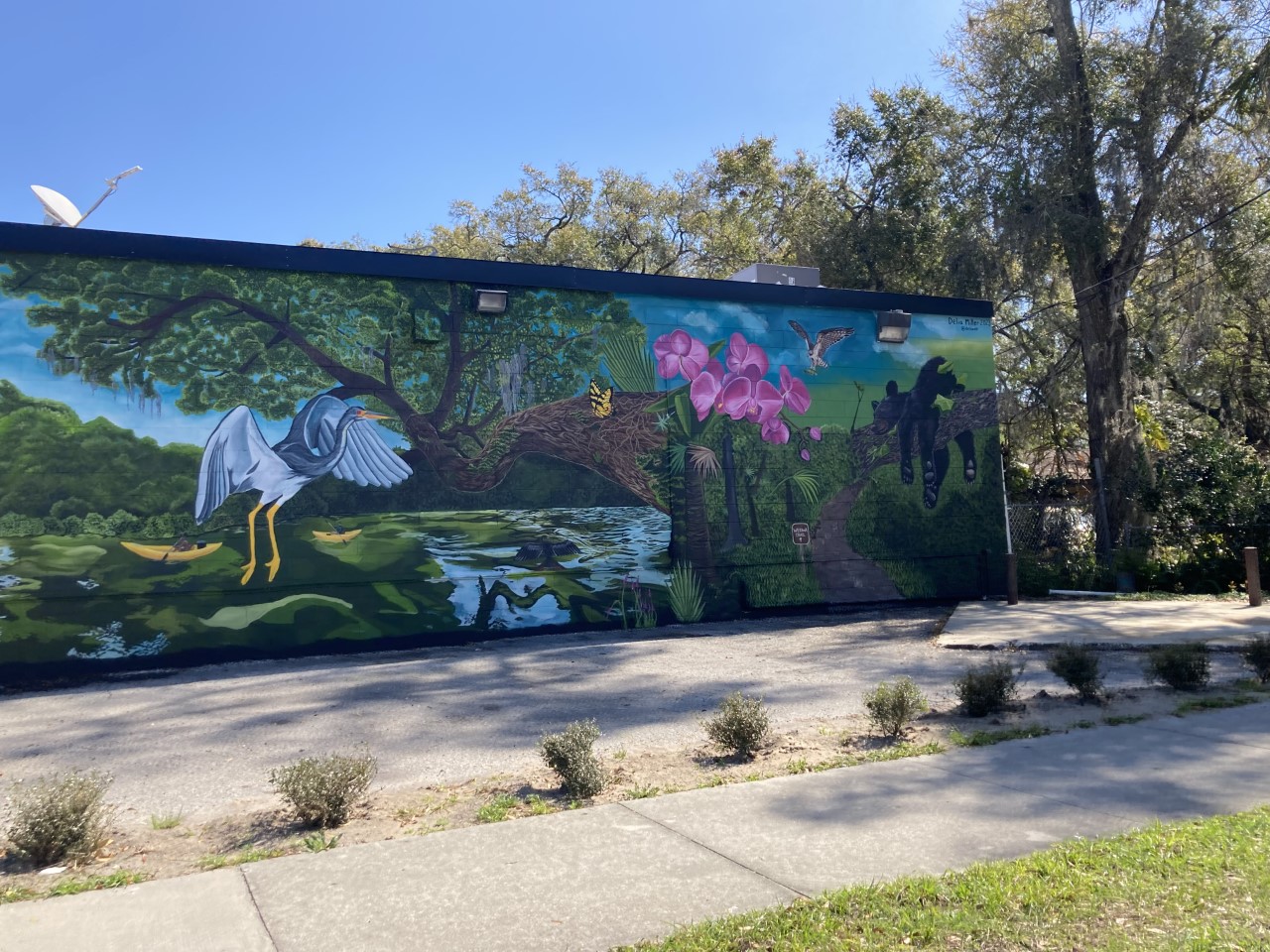 Local artist completes Jacksonville Jaguars mural in time for