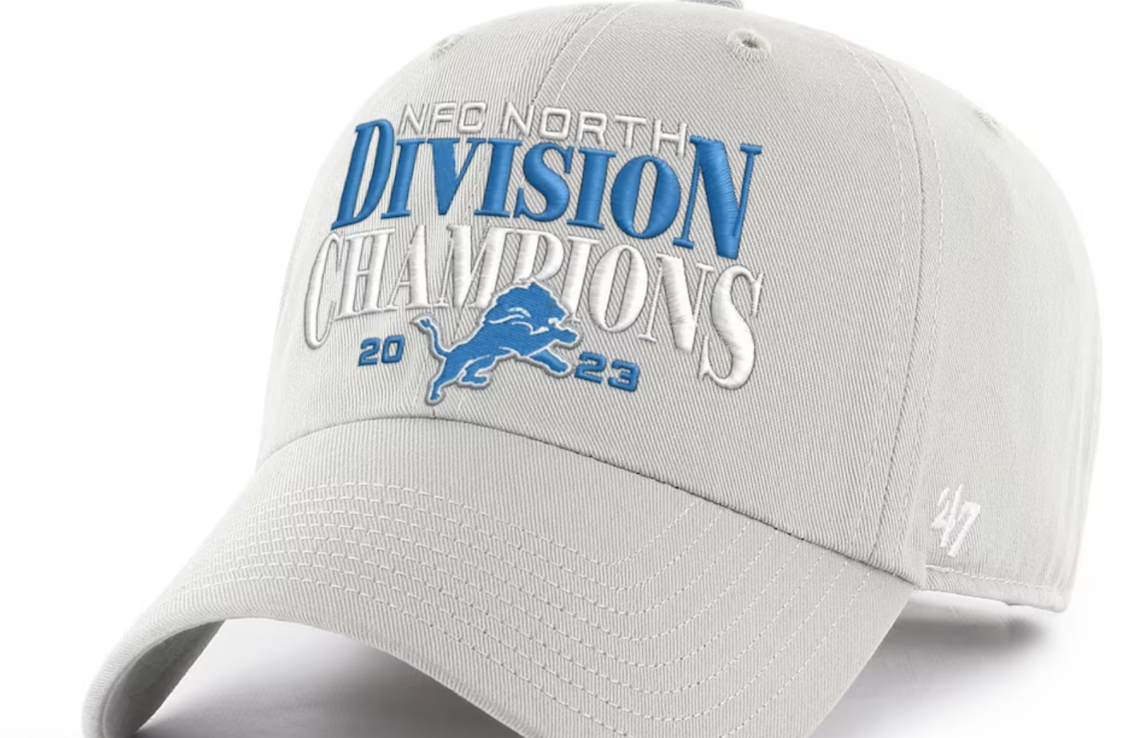 Nfc north division store champs hat