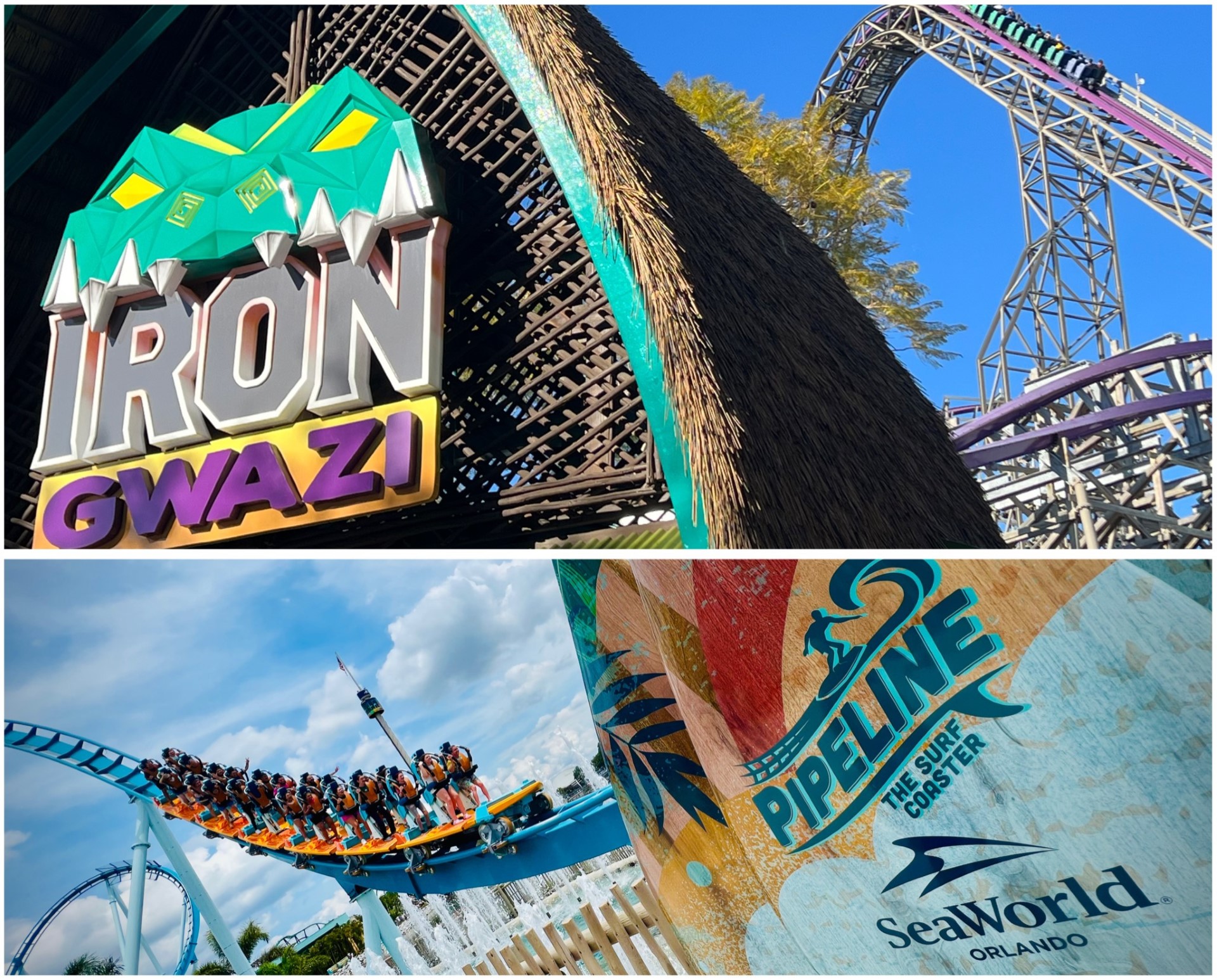 Montu Roller Coaster POV at Busch Gardens Tampa