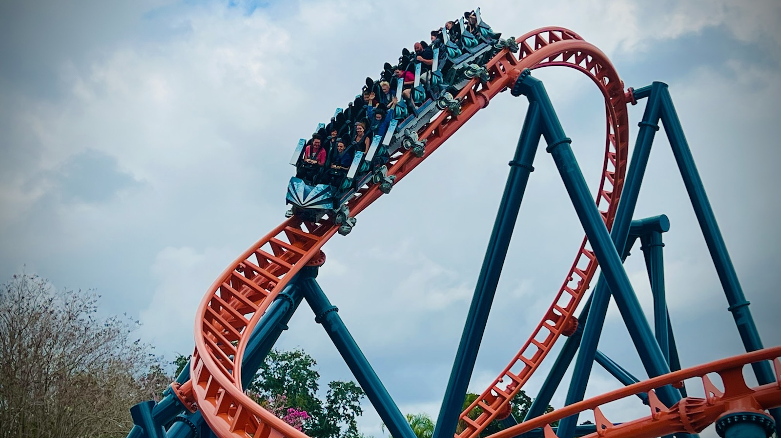 Ranking Every Busch Gardens Tampa Bay Roller Coaster