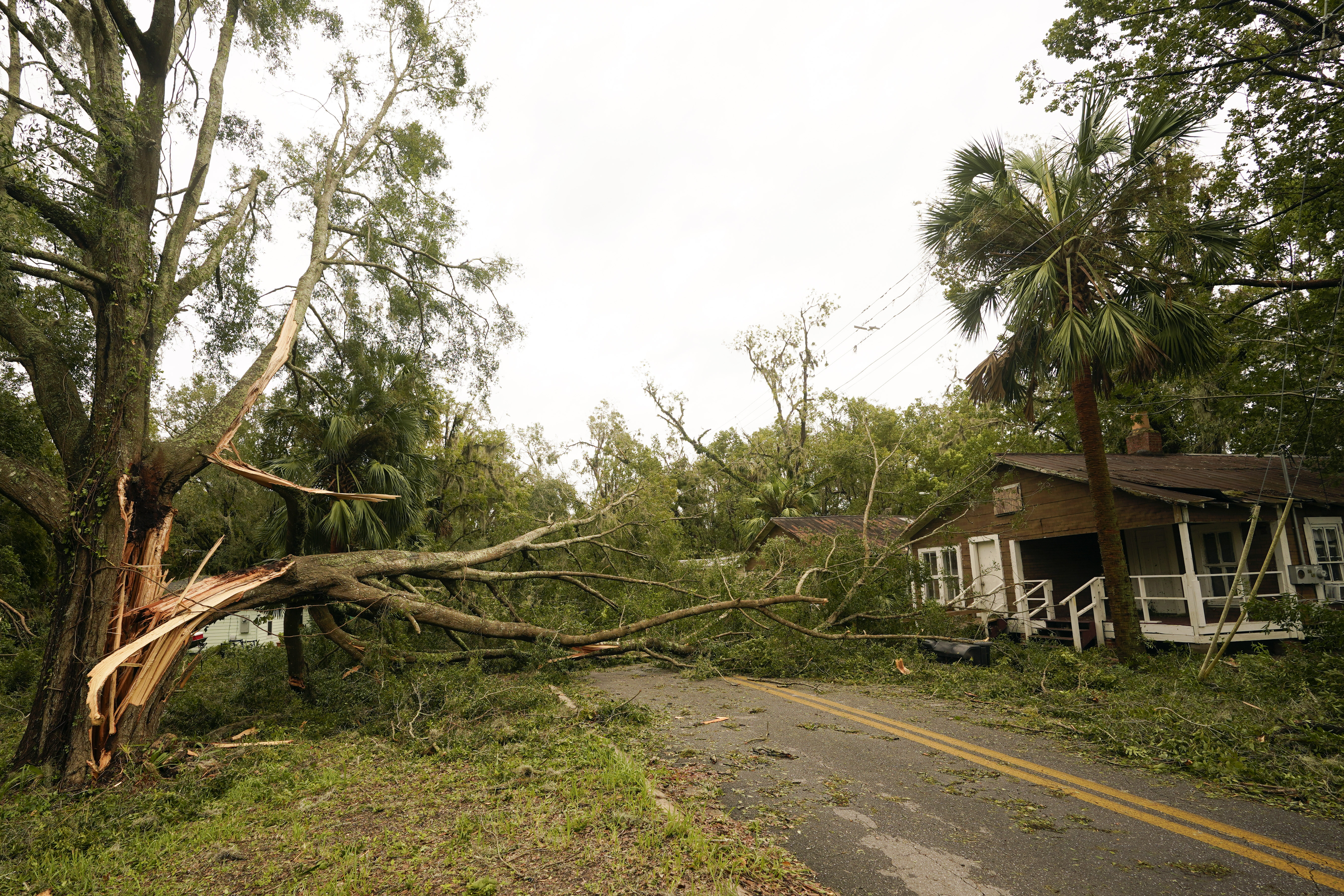 Tropical Storm Idalia: Storm and Tide Inundate South Carolina