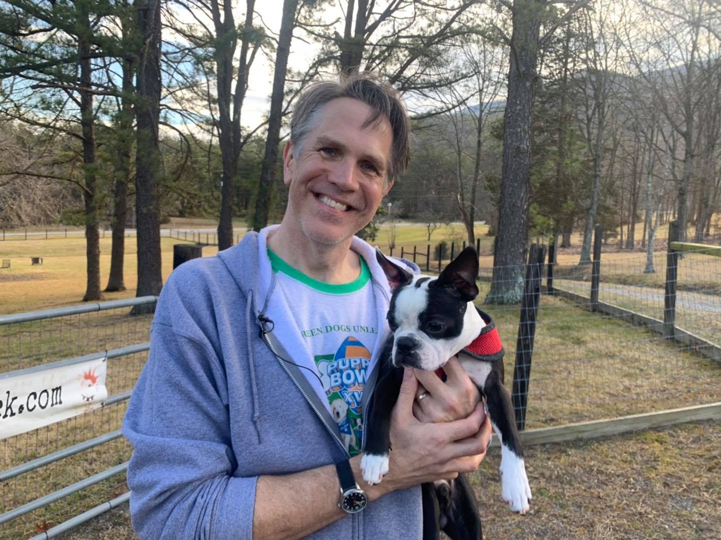 puppy bowl boston terrier