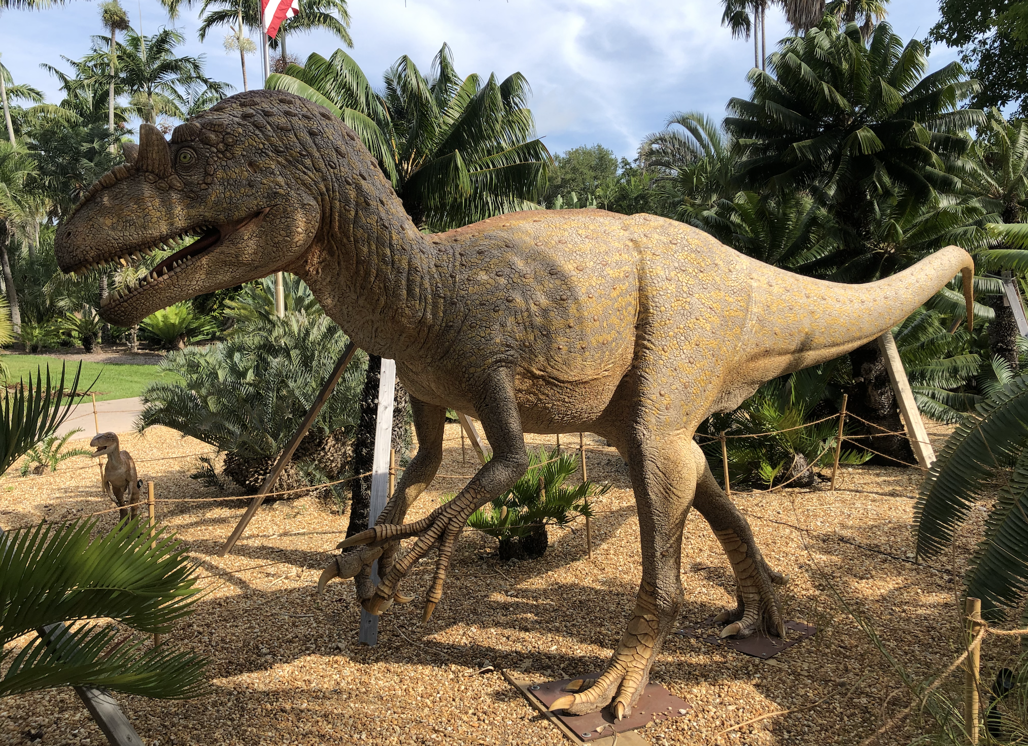 12+ Dinosaur Miami