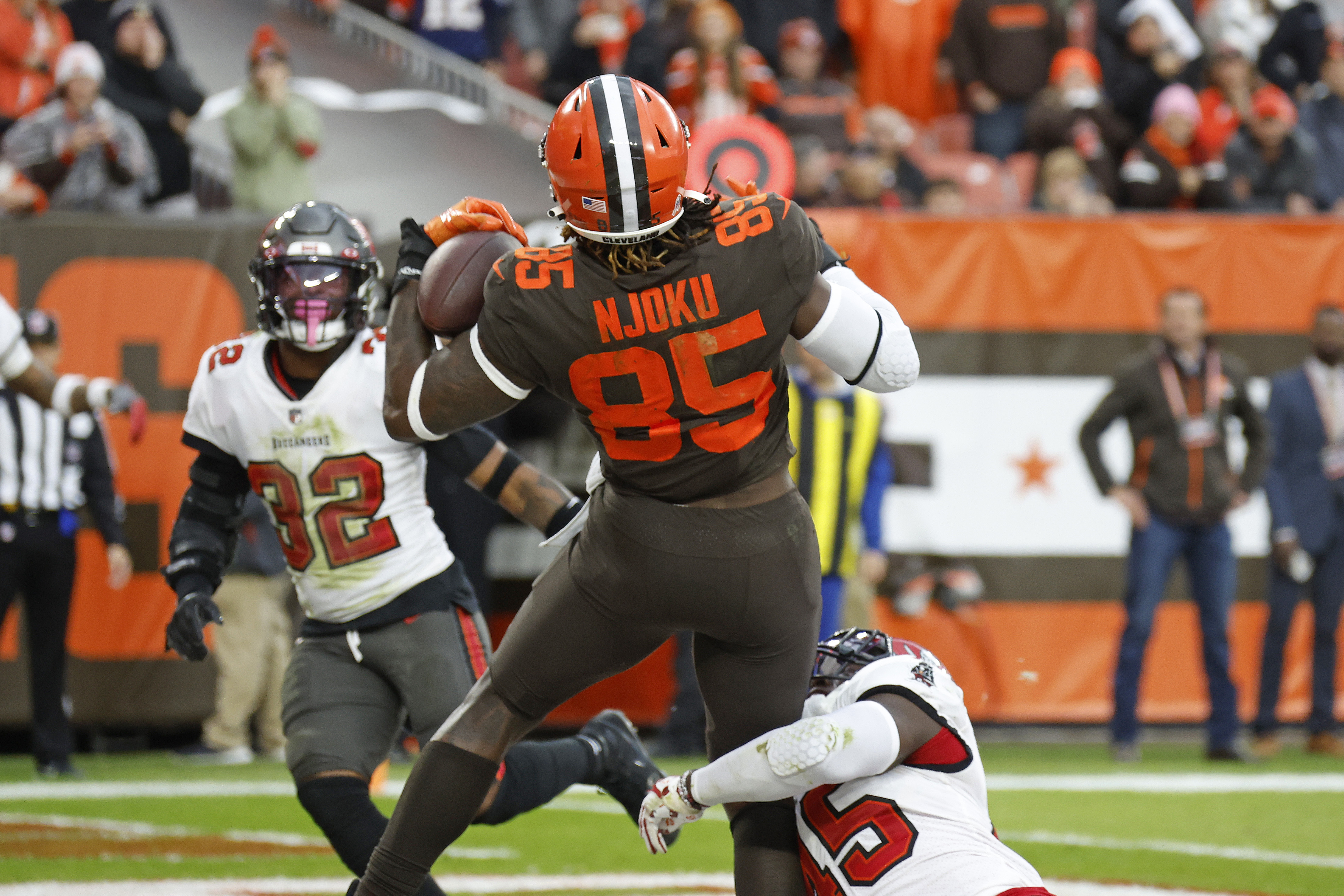 Skunk invades Browns stadium during victory over Bucs