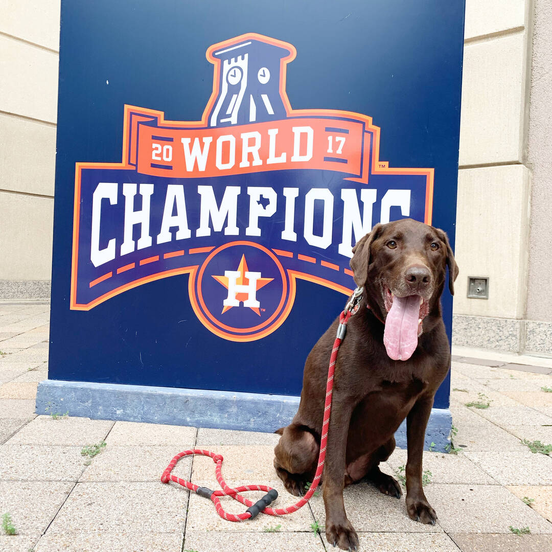 PHOTOS: These cute canines are the 'ulti-mutt' Astros fans!